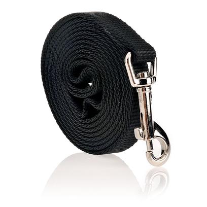 Coastal Pet nylon lead in blue, six feet long.