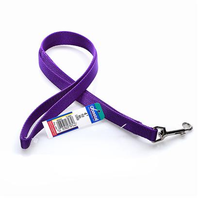 Coastal Pet nylon lead in purple, four feet long.