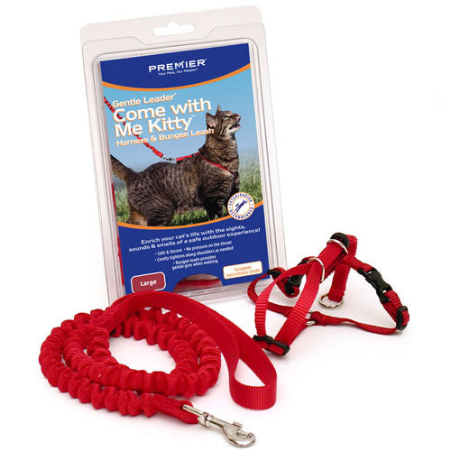PetSafe Come with Me Kitty and Bungee Adjustable Leash Cat Harness