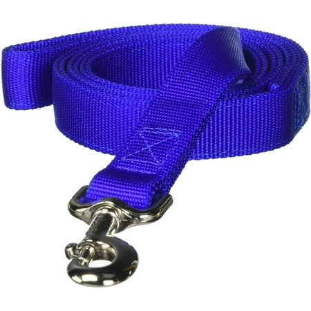 Coastal Double-Ply Nylon Dog Leash in Blue, 4 ft length.