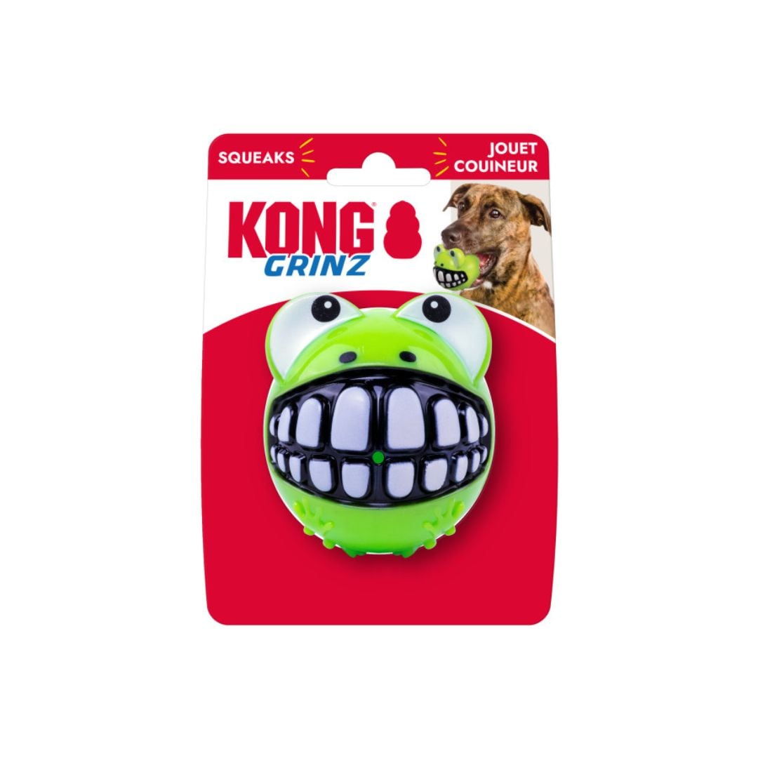 Grinz Frog Dog Toy, large size, in green