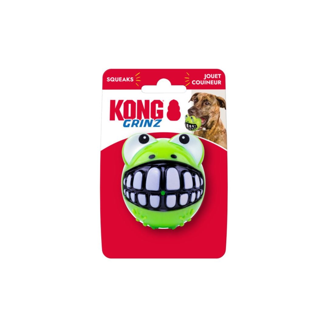 Grinz Frog Dog Toy, medium size, in green