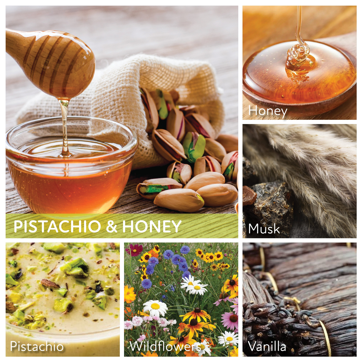 A Cheerful Giver Pistachio & Honey Keepers of the Light Jar Candle -- scent notes panel