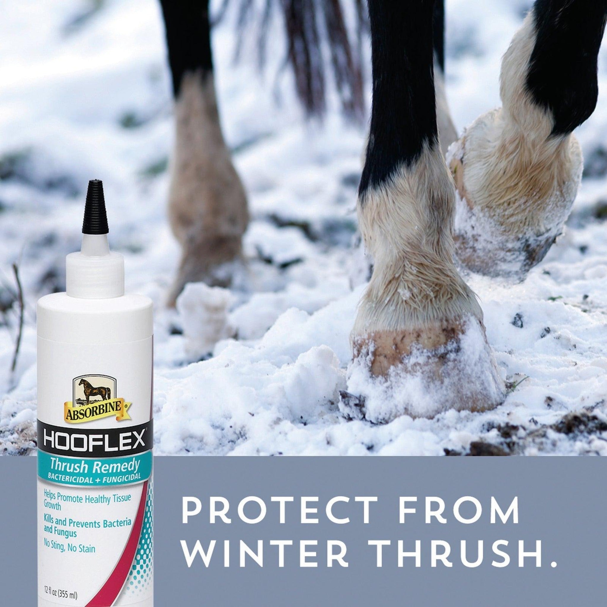 Absorbine Hooflex thrush remedy, protects from winter thrush