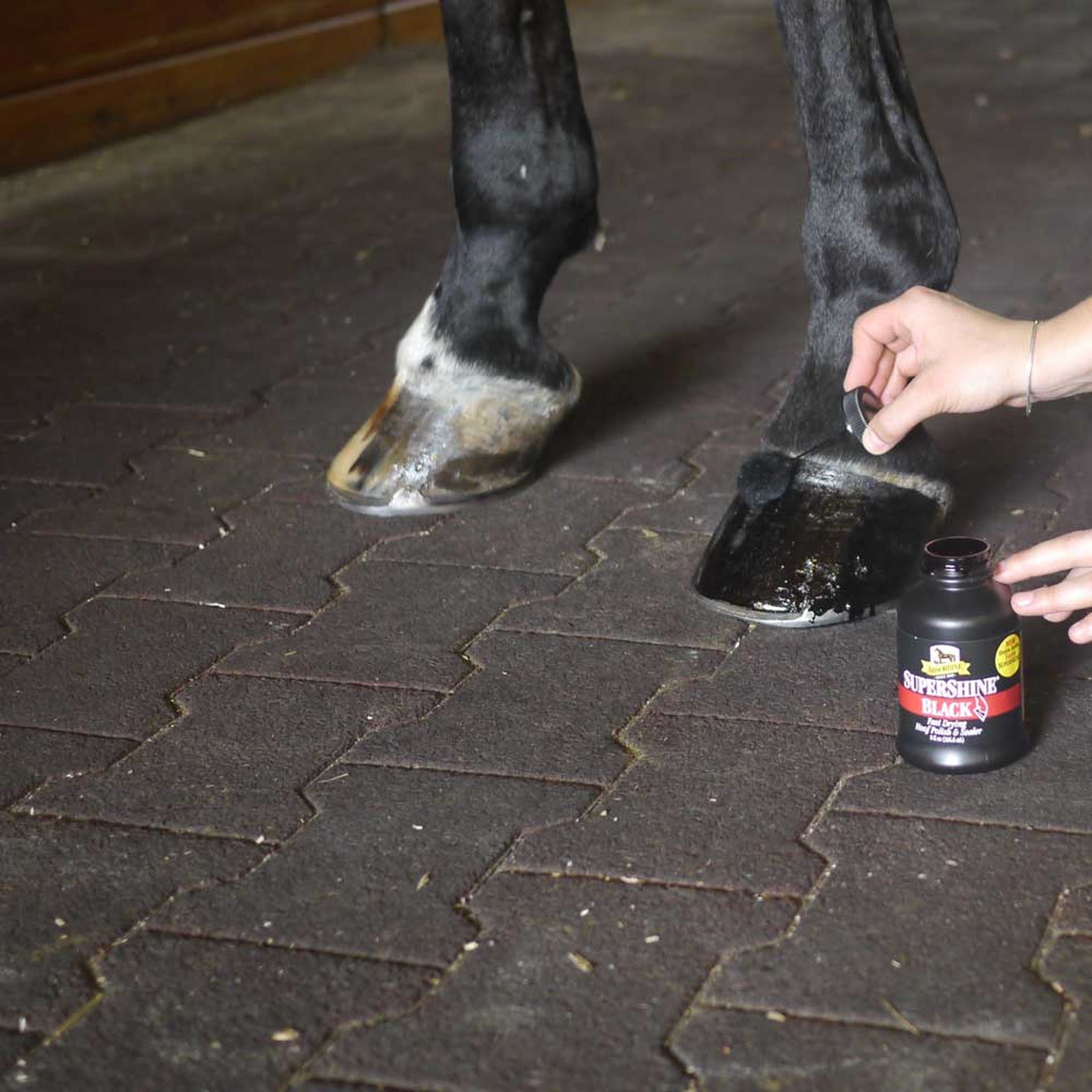 Absorbine SuperShine hoof polish and sealer, applied to a hoof