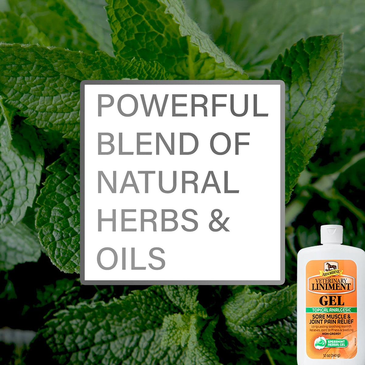 Absorbine Veterinary Liniment Gel, powerful blend of natural herbs and oils