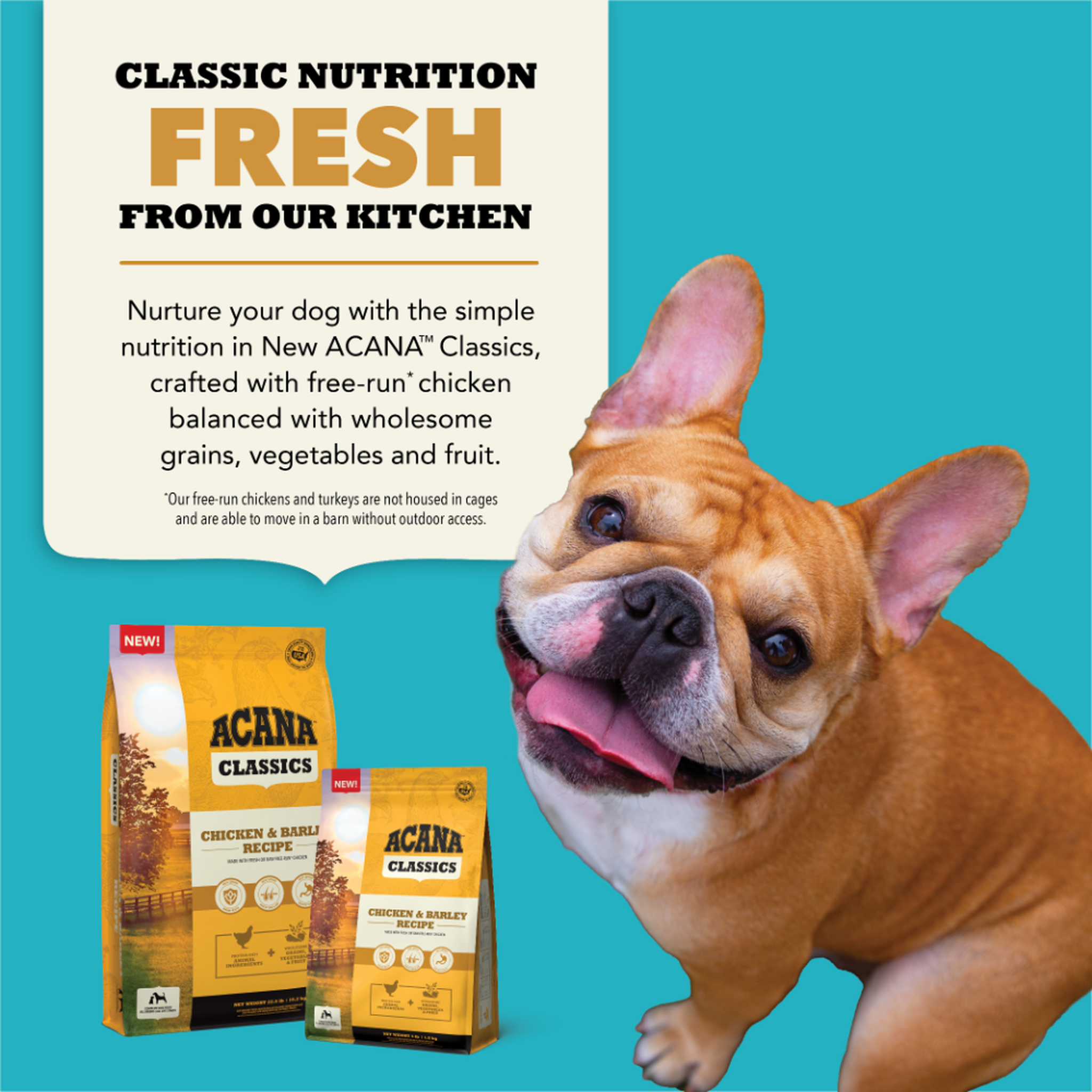 ACANA Classics health benefit callouts: immune health, healthy skin and coat, digestive health, and healthy weight from antioxidants, Omega fatty acids, fiber and probiotics