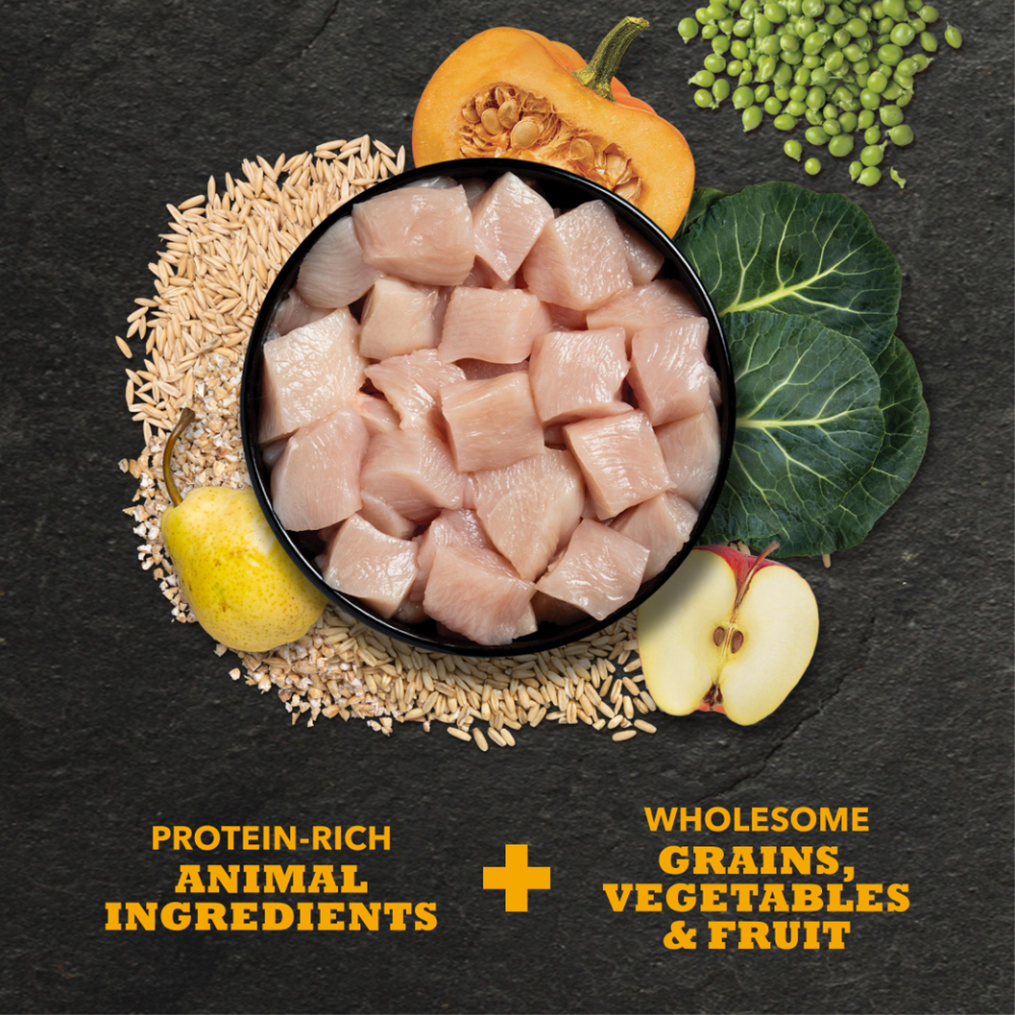 Bowl of diced protein-rich chicken surrounded by oats, barley, butternut squash, peas, collard greens, pear and apple used in ACANA Classics Chicken & Barley Recipe