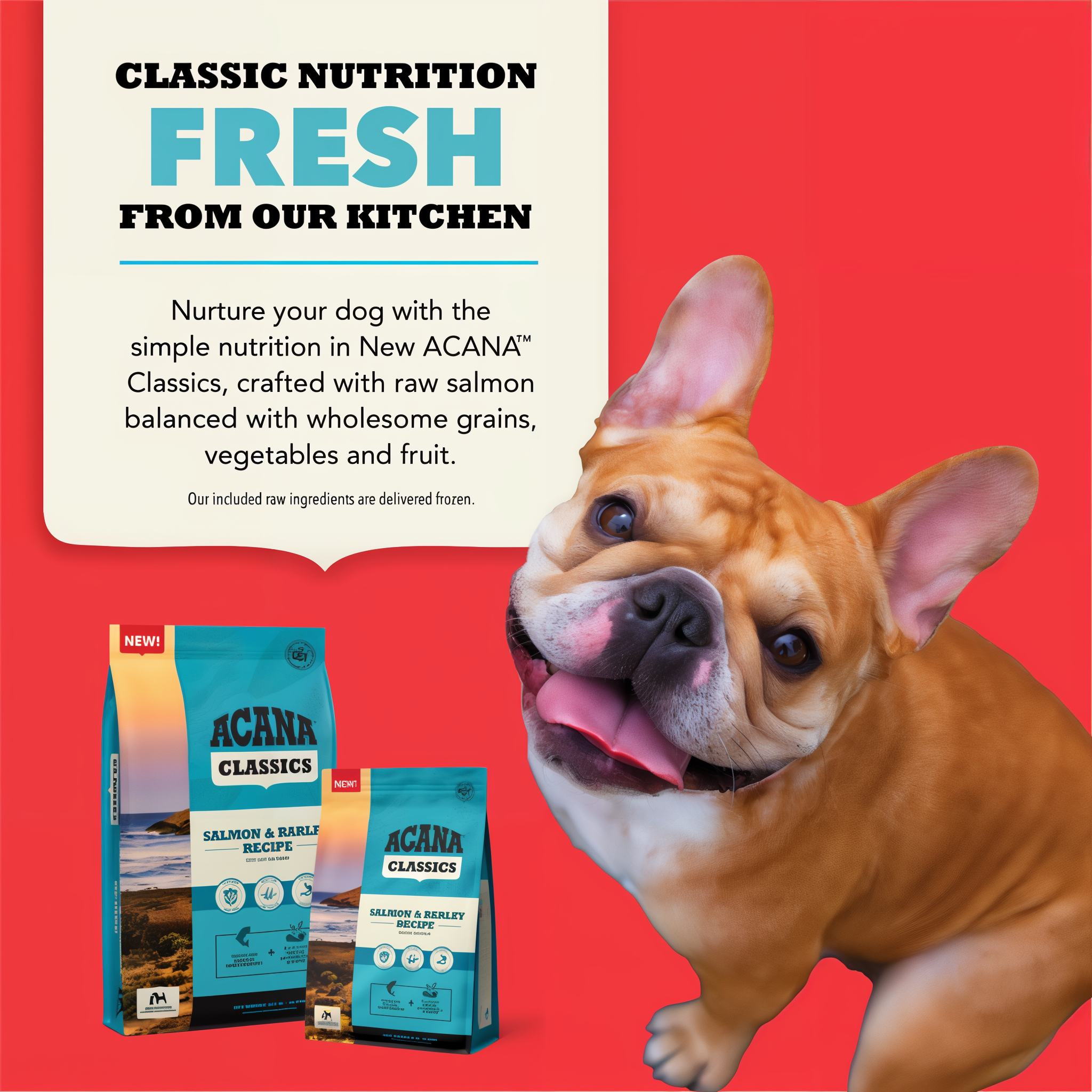 Acana Classics salmon and barley dog food crafted fresh with raw salmon, shown with a happy dog and two bag sizes