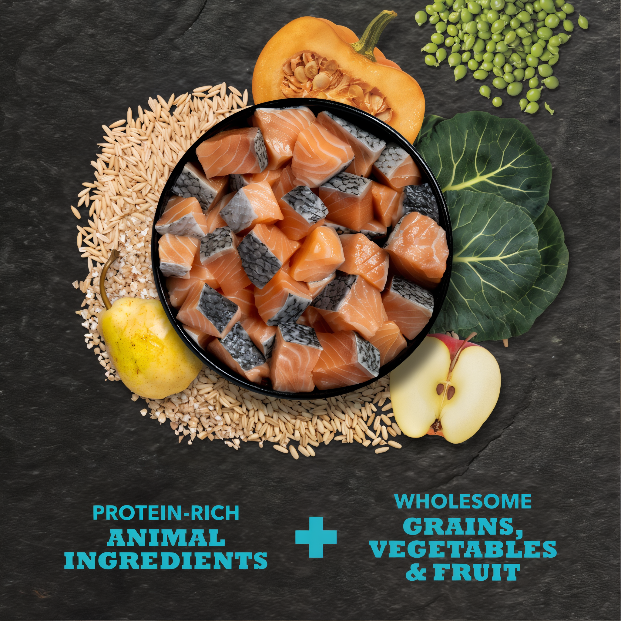 Bowl of raw salmon with oats, barley, peas, butternut squash, collard greens, apple and pear