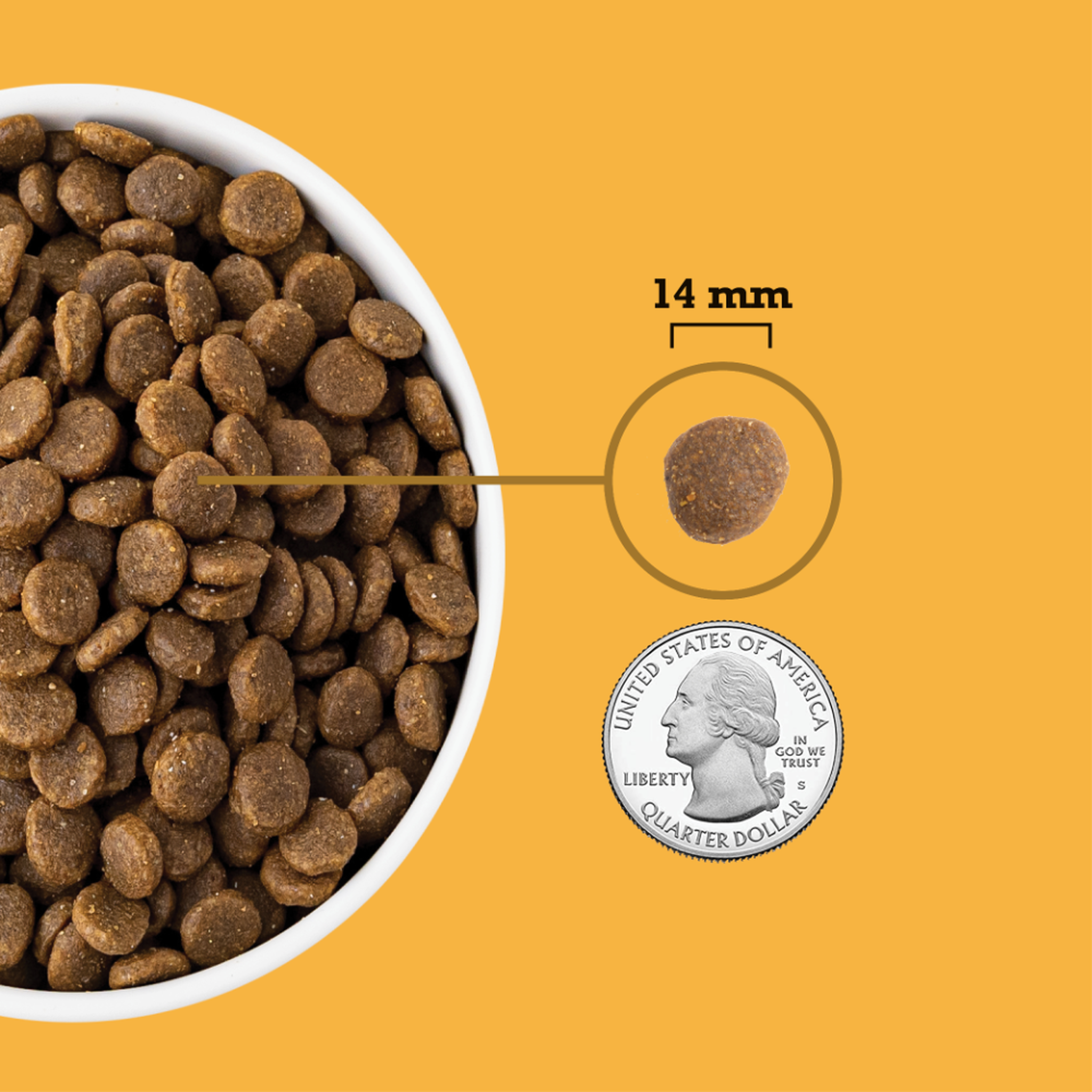 ACANA Free-Run Poultry kibble in a bowl shown at 14 millimeters next to a quarter for size comparison