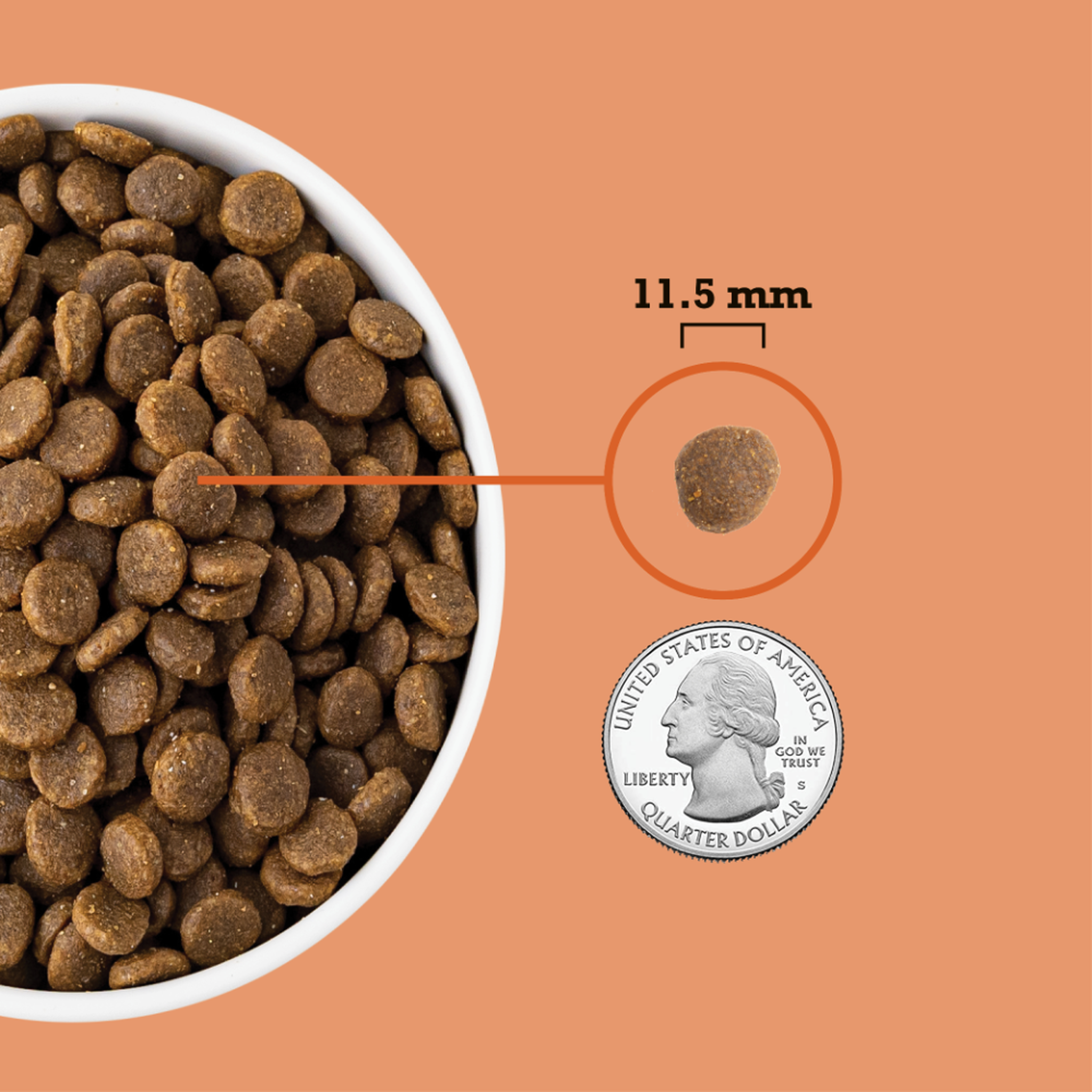 Acana Puppy Recipe kibble shown at 11.5 mm next to a quarter for size comparison