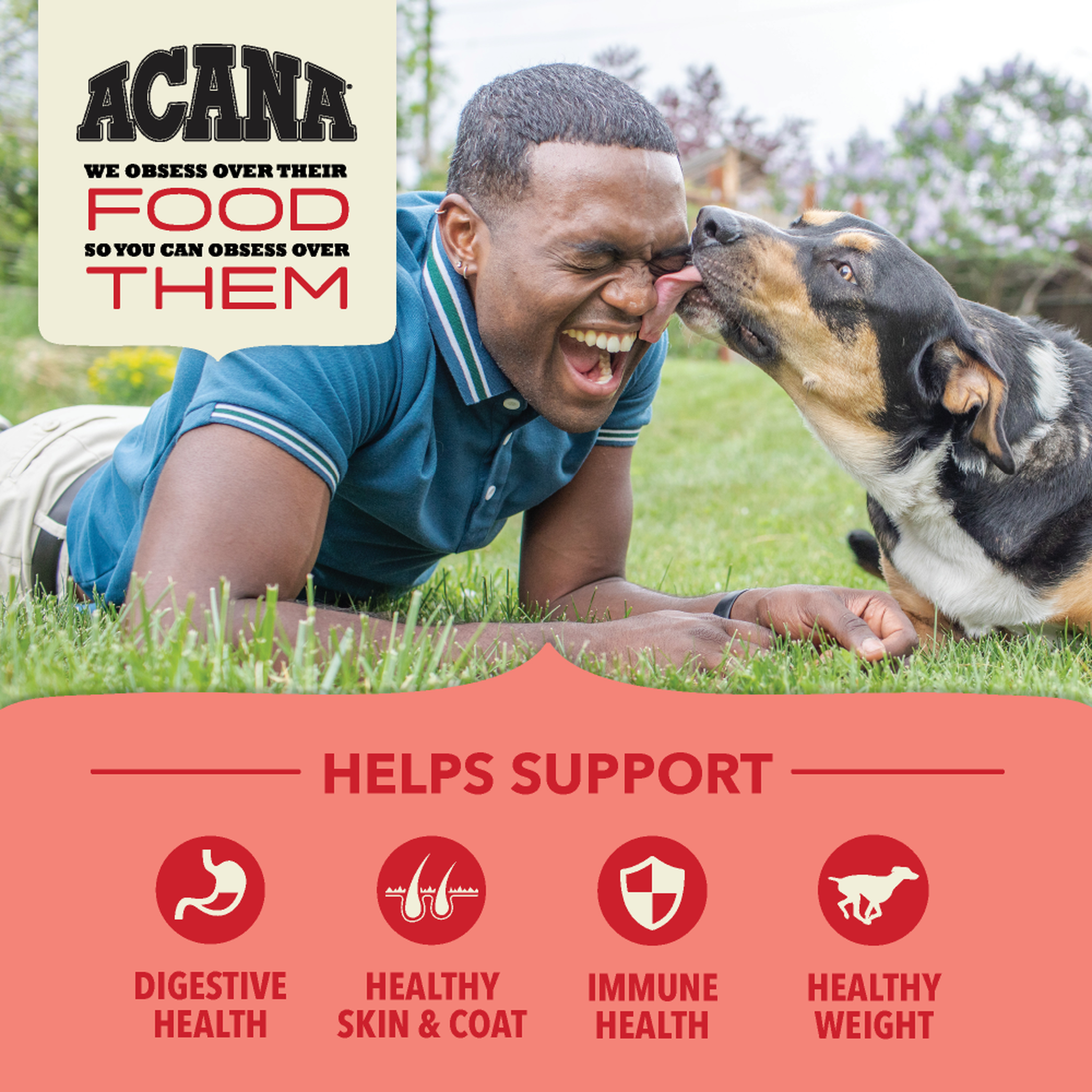 Acana Red Meat Recipe with Wholesome Grains helps support digestive health, skin and coat, immune health and healthy weight