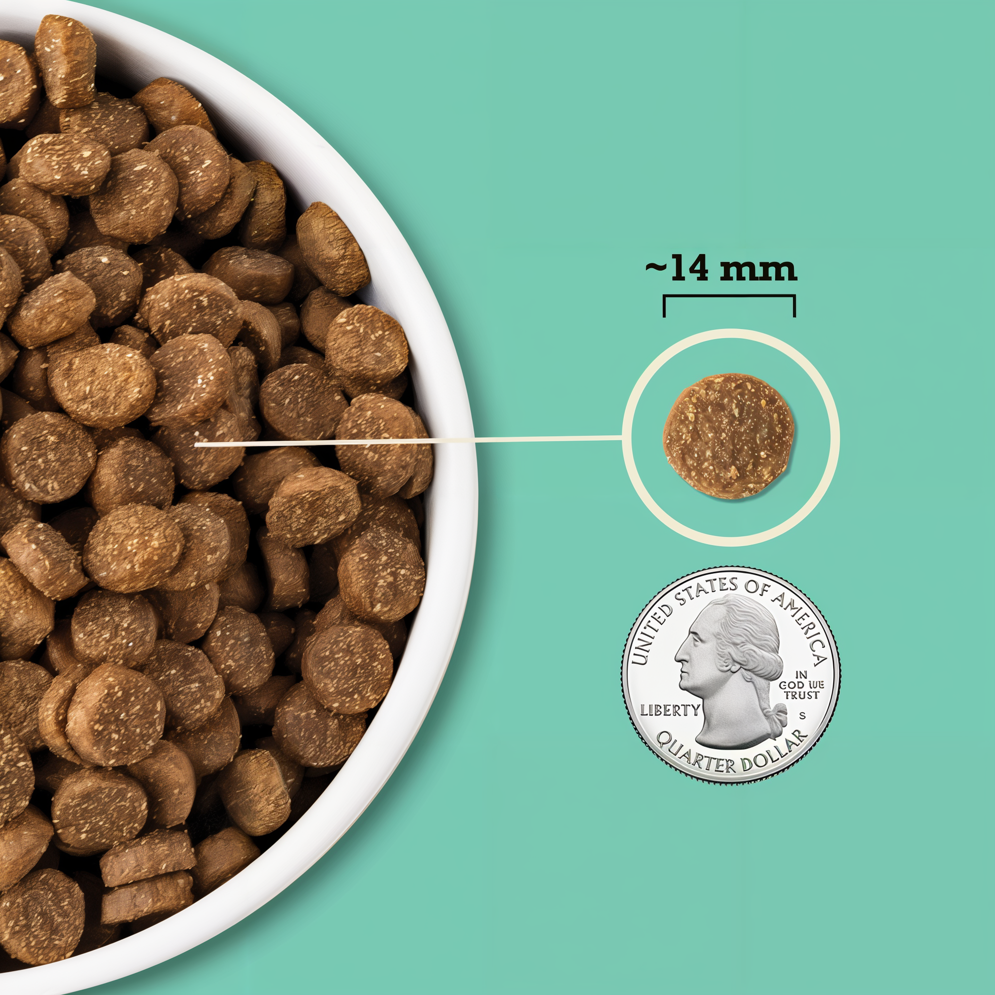 Acana Lamb & Pumpkin with Wholesome Grains kibble in a bowl shown at about 14 mm next to a quarter