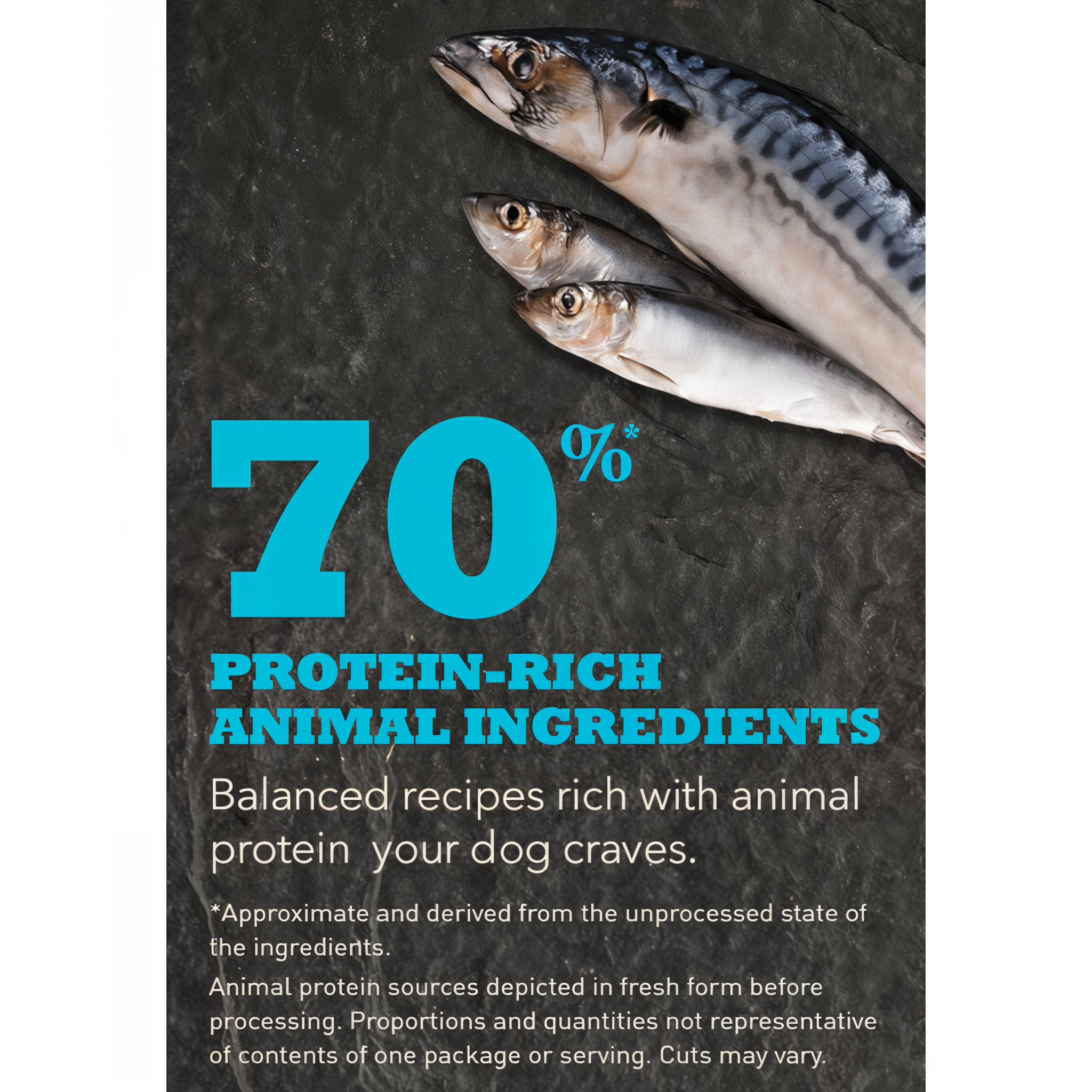 Acana Wild Atlantic recipe made with 70 percent protein-rich animal ingredients, shown with whole mackerel and herring on slate