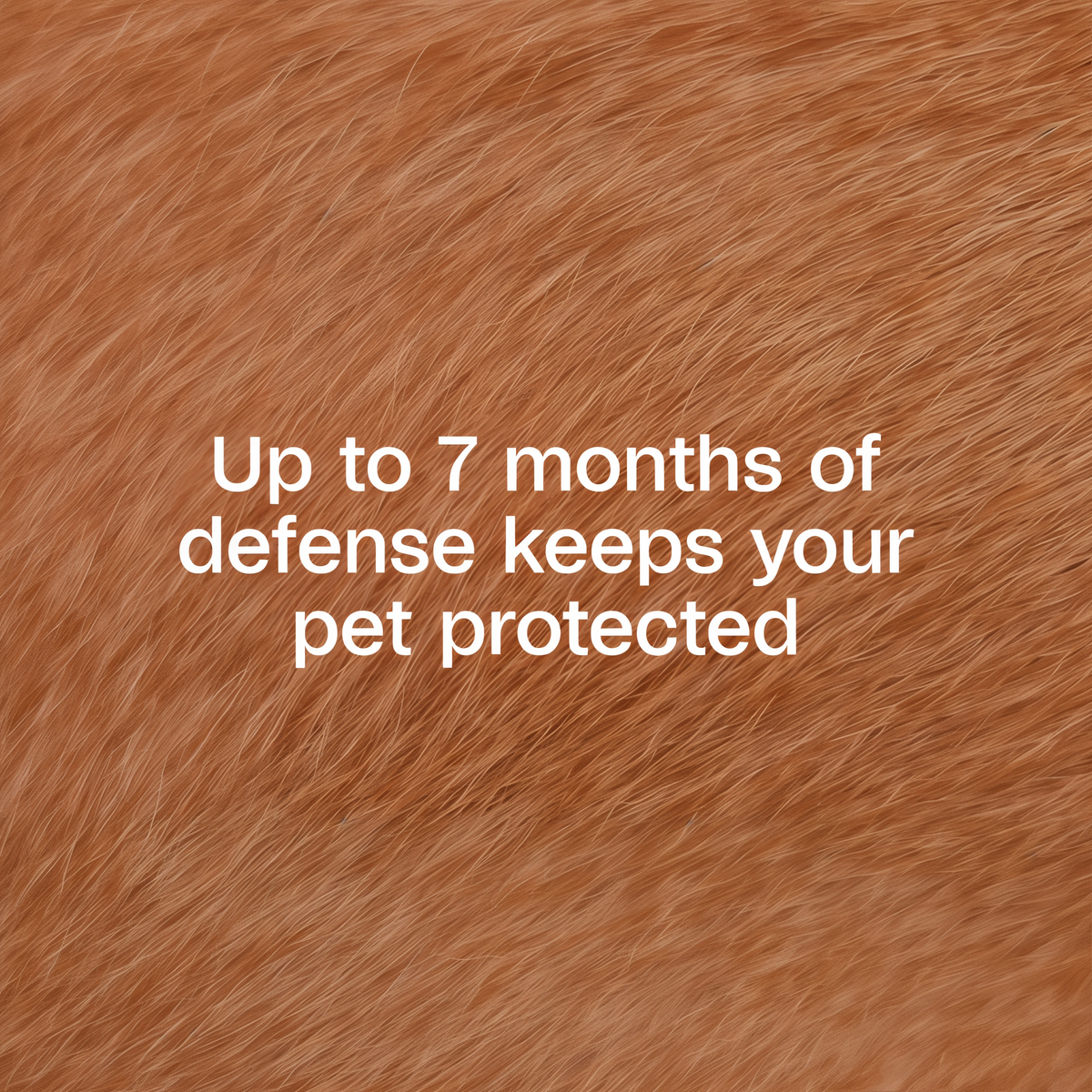 Up to 7 months of defense keeps your pet protected