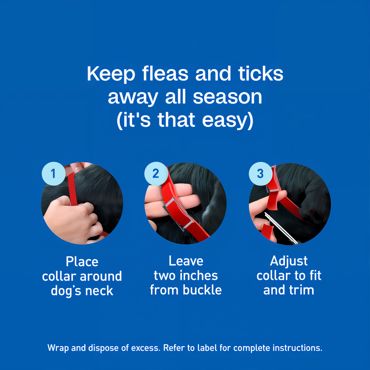 Fit the red collar in three steps: place around neck, leave two inches from buckle, adjust and trim