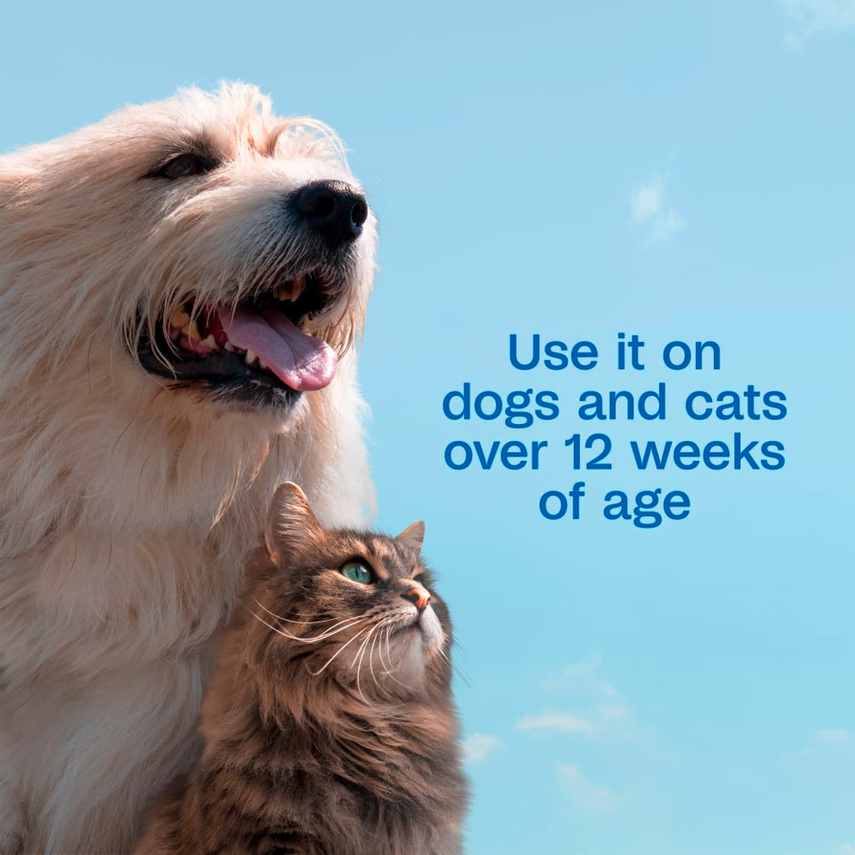 Use it on dogs and cats over 12 weeks of age