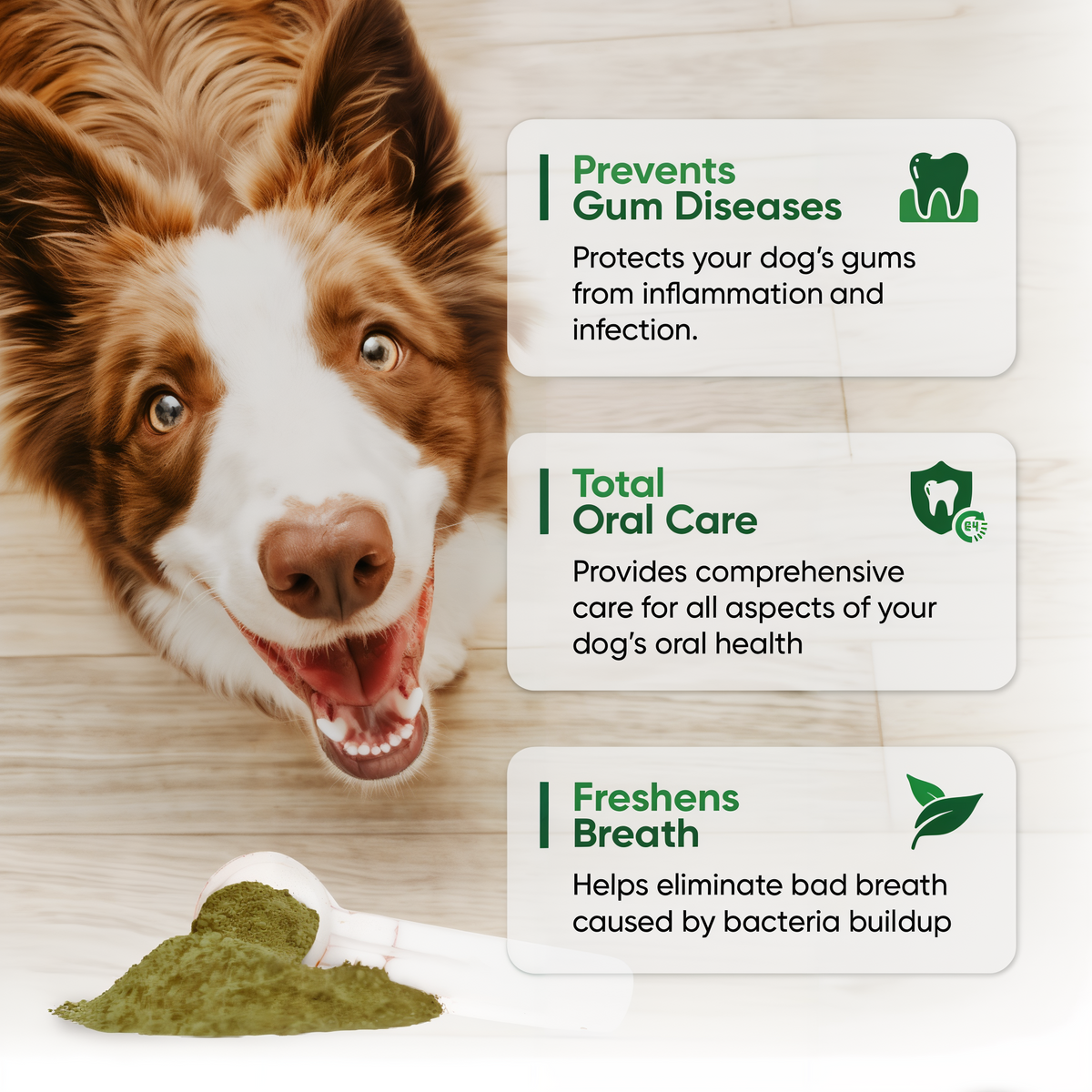 Alpha Dog Nutrition Fortify Dental Powder for Dogs 4.6 oz -- other
