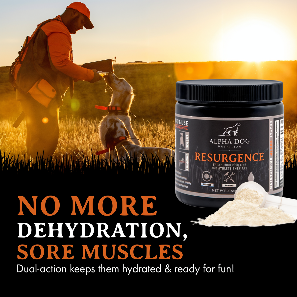 Alpha Dog Nutrition Resurgence Hydration & Recovery Supplement for Dogs 3.7 oz -- lifestyle
