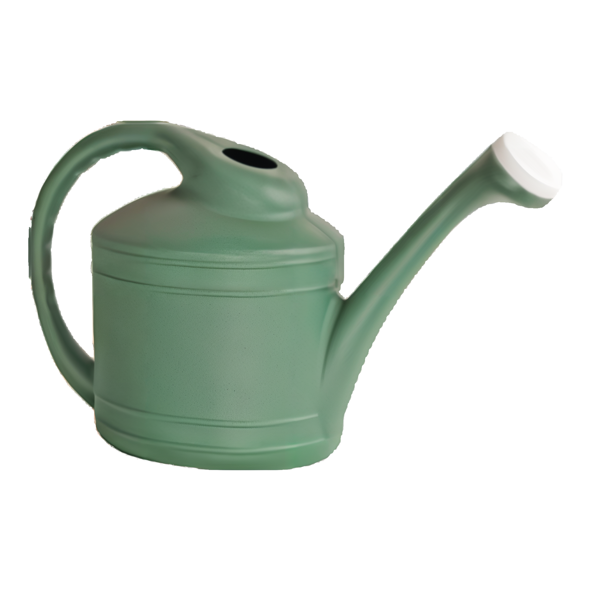 Ames Fern Green 2-gallon watering can, durable UV-protected poly-resin with an easy-fill top opening and removable white spout, for indoor and outdoor plant watering