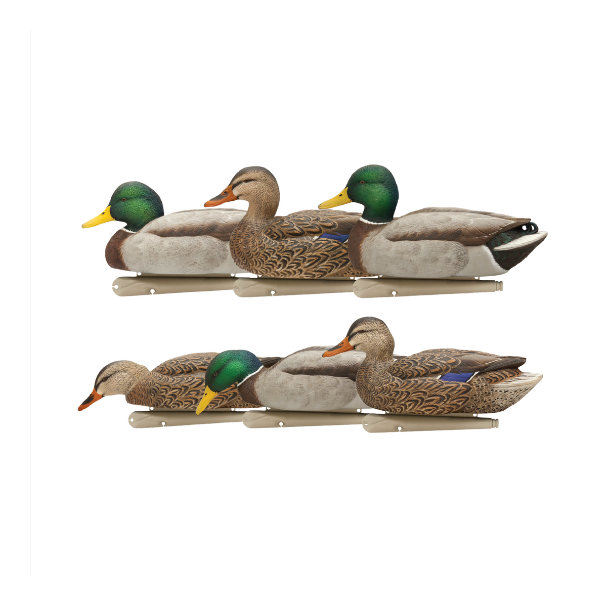 Avian-X Topflight Fusion Mallards 6-Pack -- product image