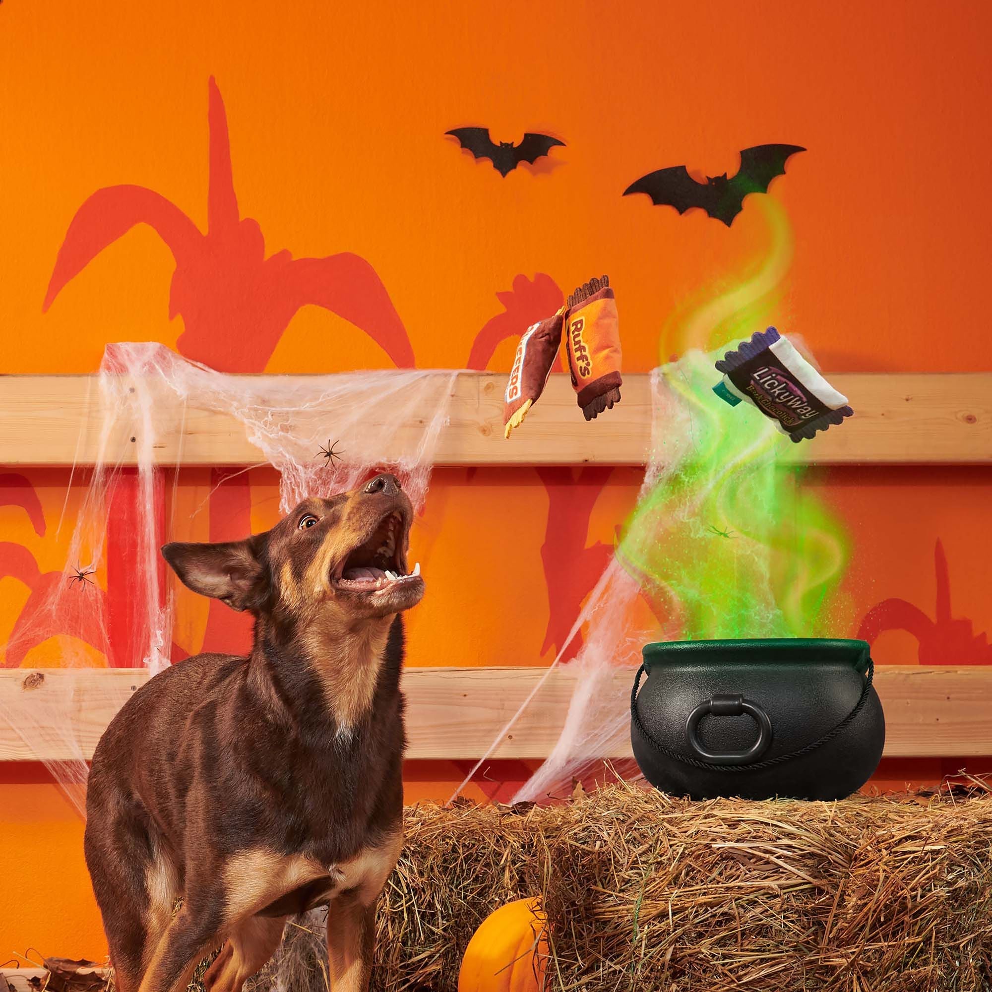 Dog catching Howl-O-Ween Candy plush toys tossed from a cauldron