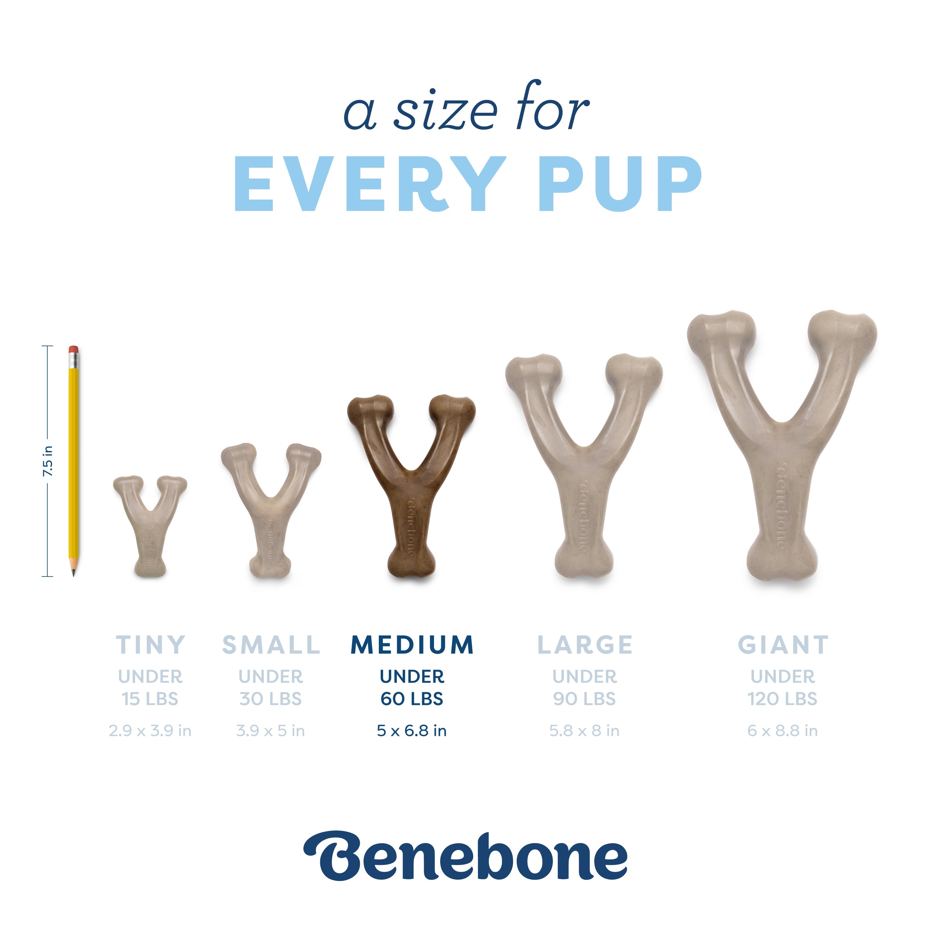Puppy Wishbone softer material for growing teeth