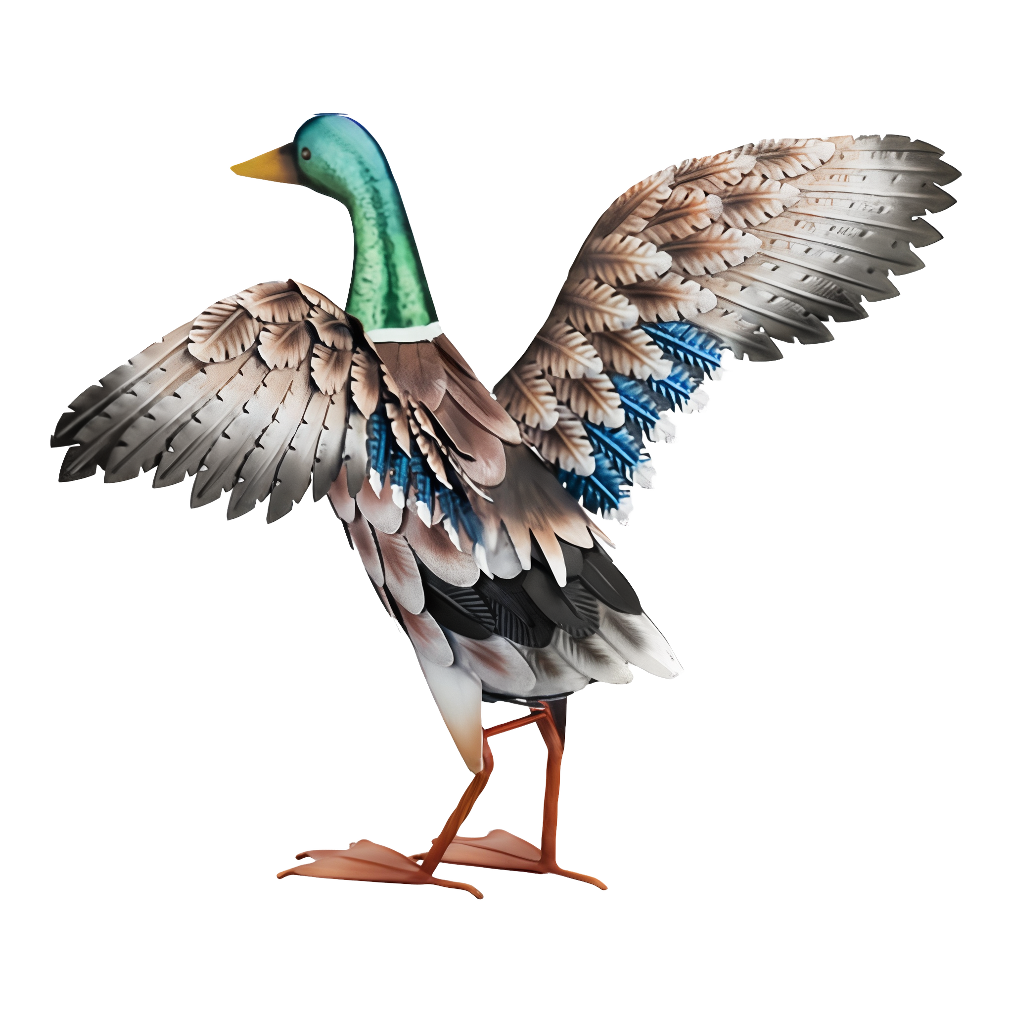 Mallard - Wings Out