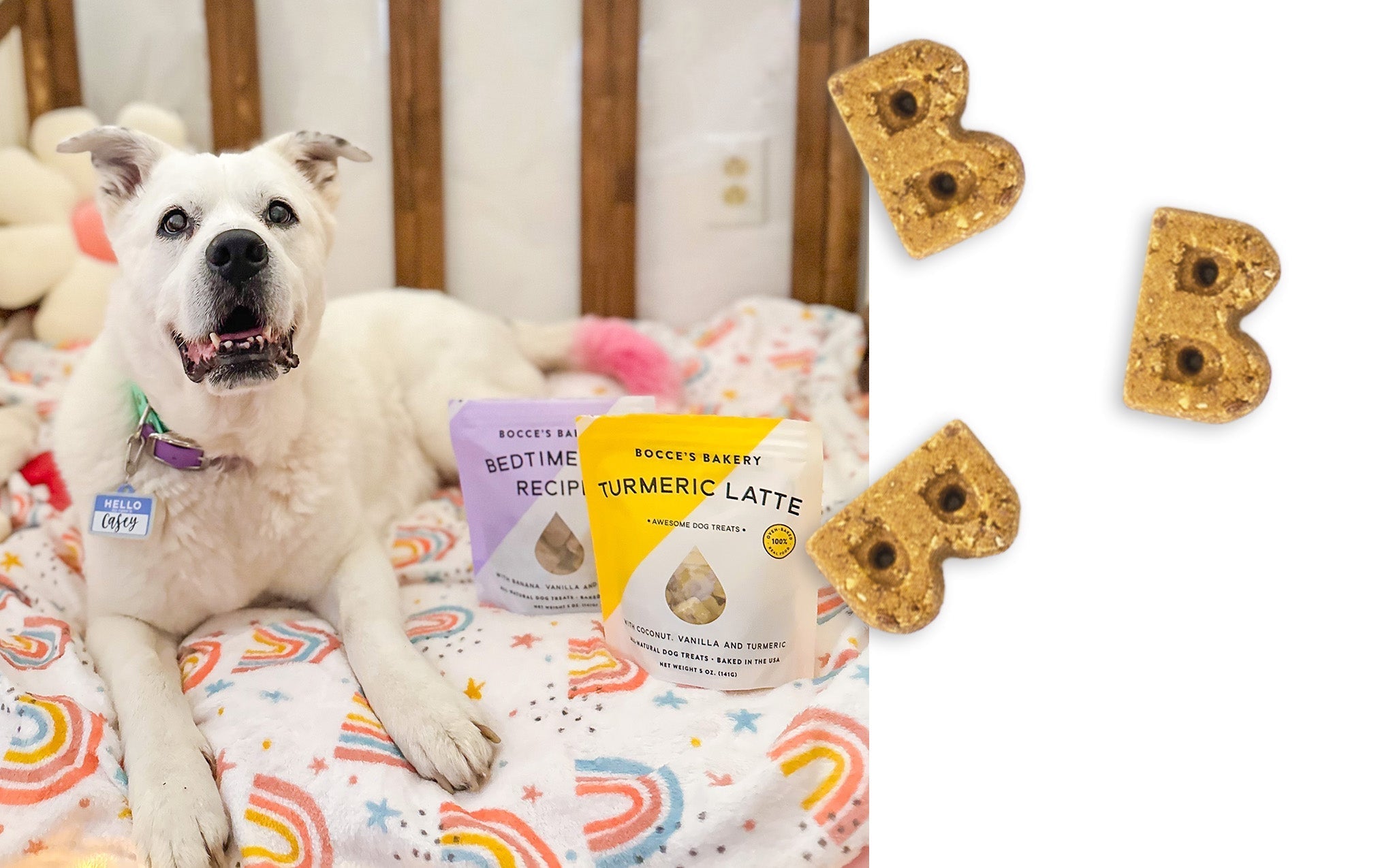 Dog resting beside a Turmeric Latte pouch with close-up of the B-shaped baked biscuits