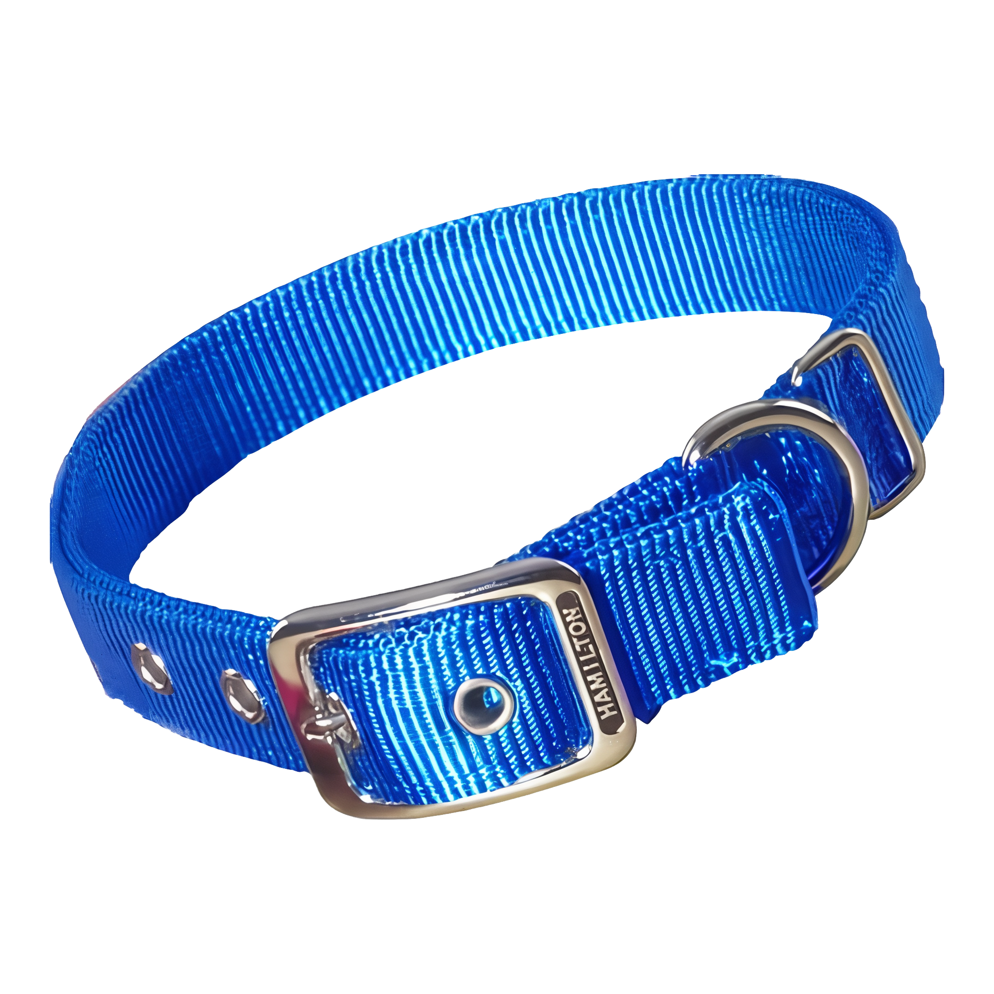 Hamilton Double Thick Nylon Deluxe Dog Collar, Blue, 20 inch size.