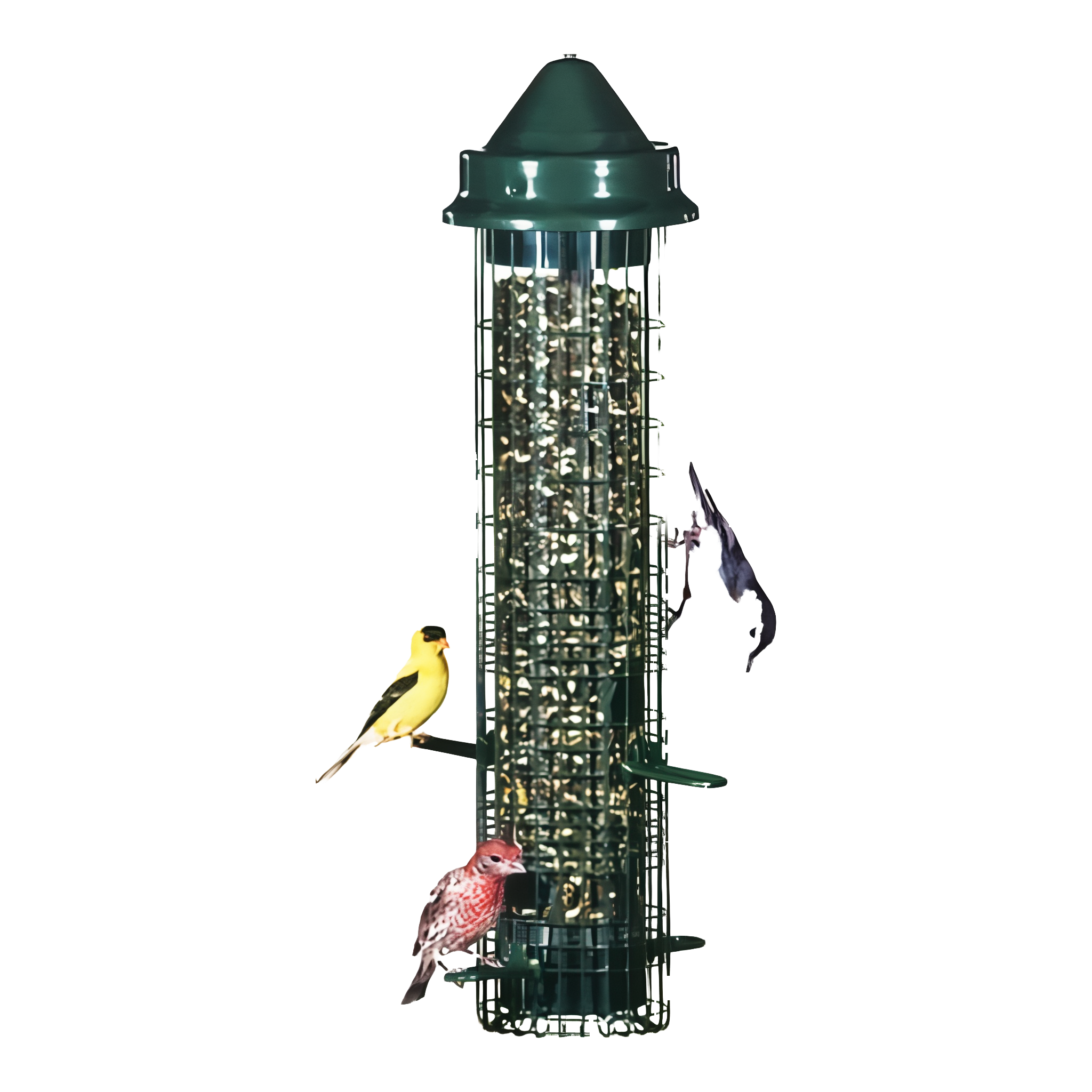 Brome Squirrel Buster Classic Tube Bird Feeder