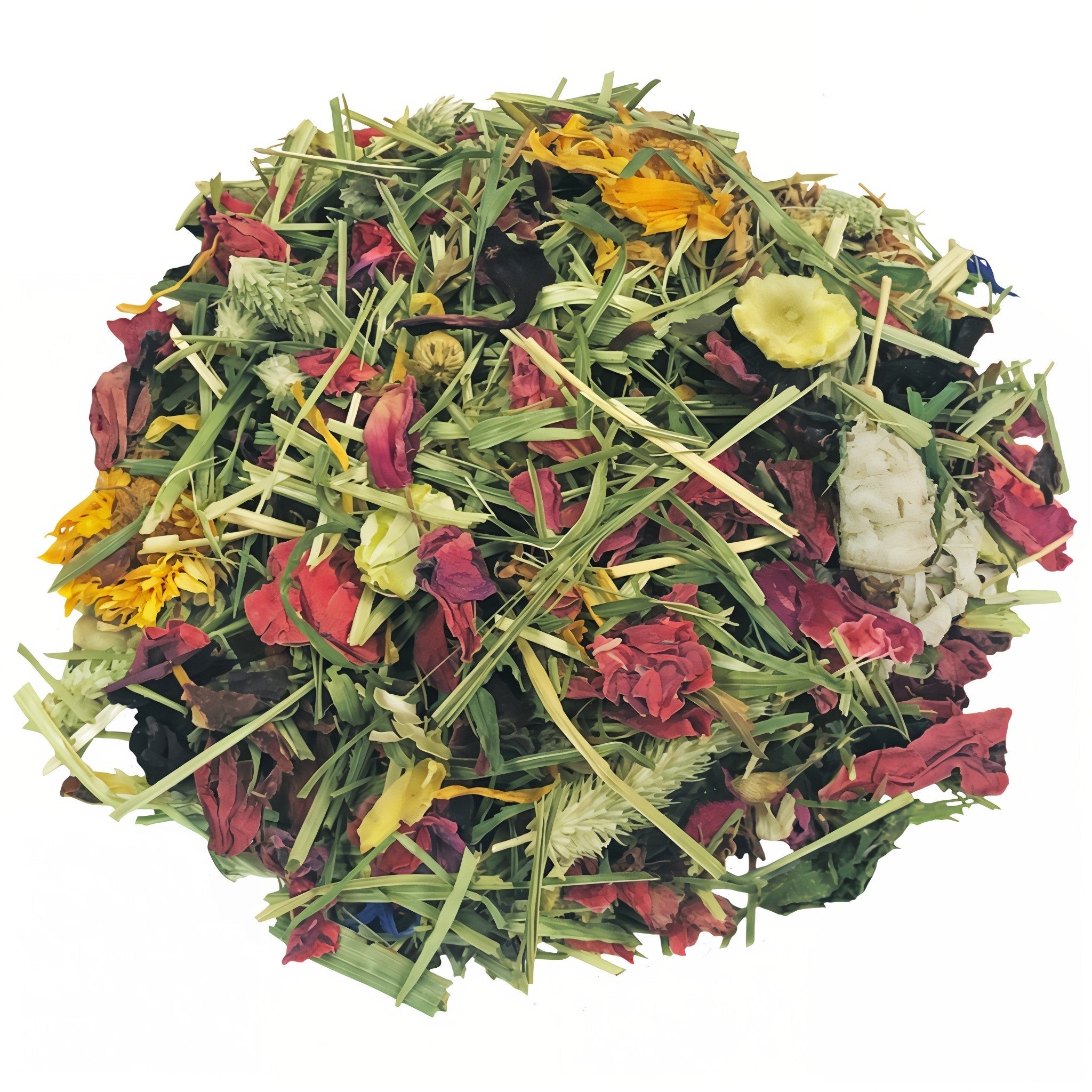 Closeup of the Tropical Carnival Natural Behaviors Bio-Treat for Small Animals blend