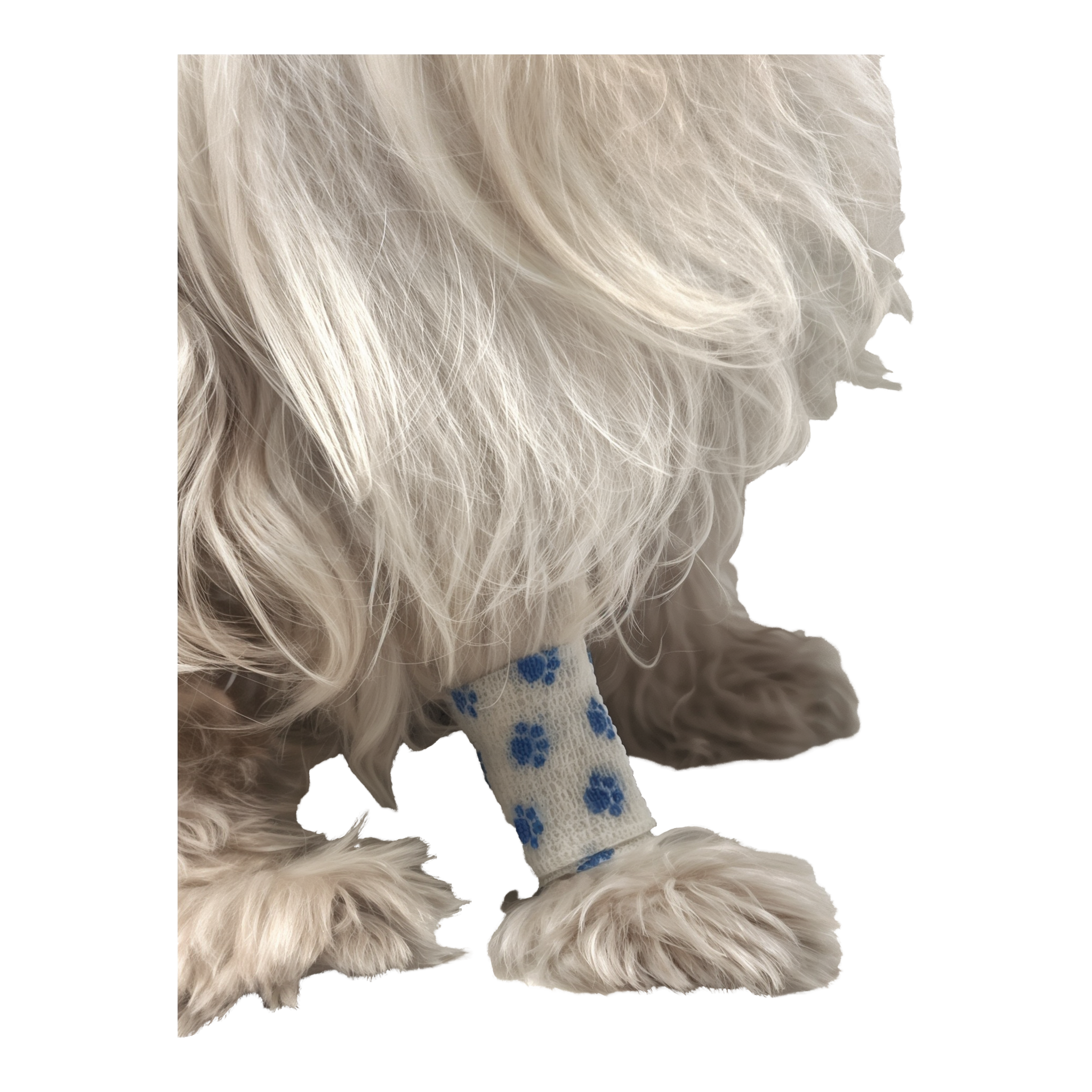 Calm Paws Self Adhering Recovery Bandage