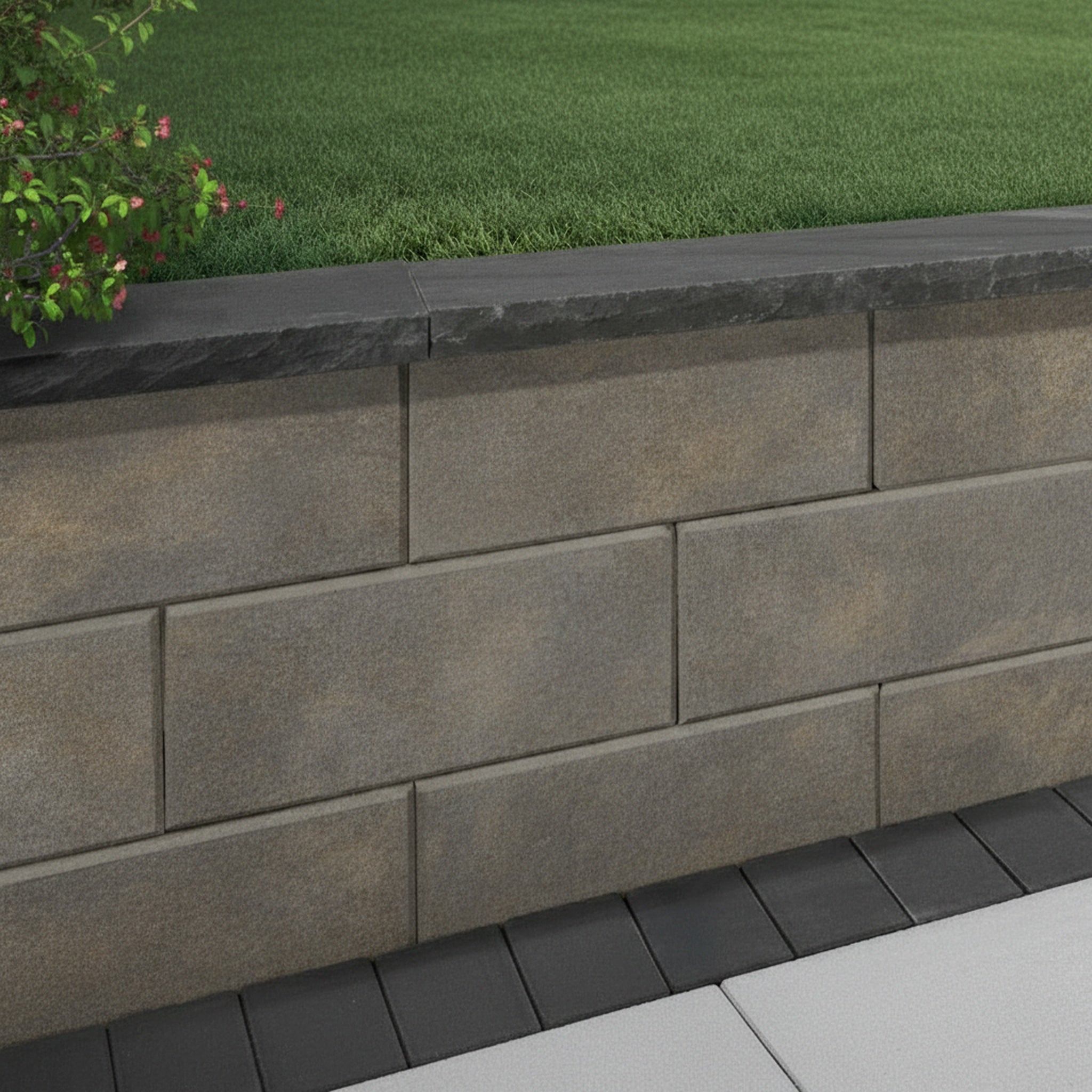 Sigma Plus 8" Smooth Wall (C) - Hero