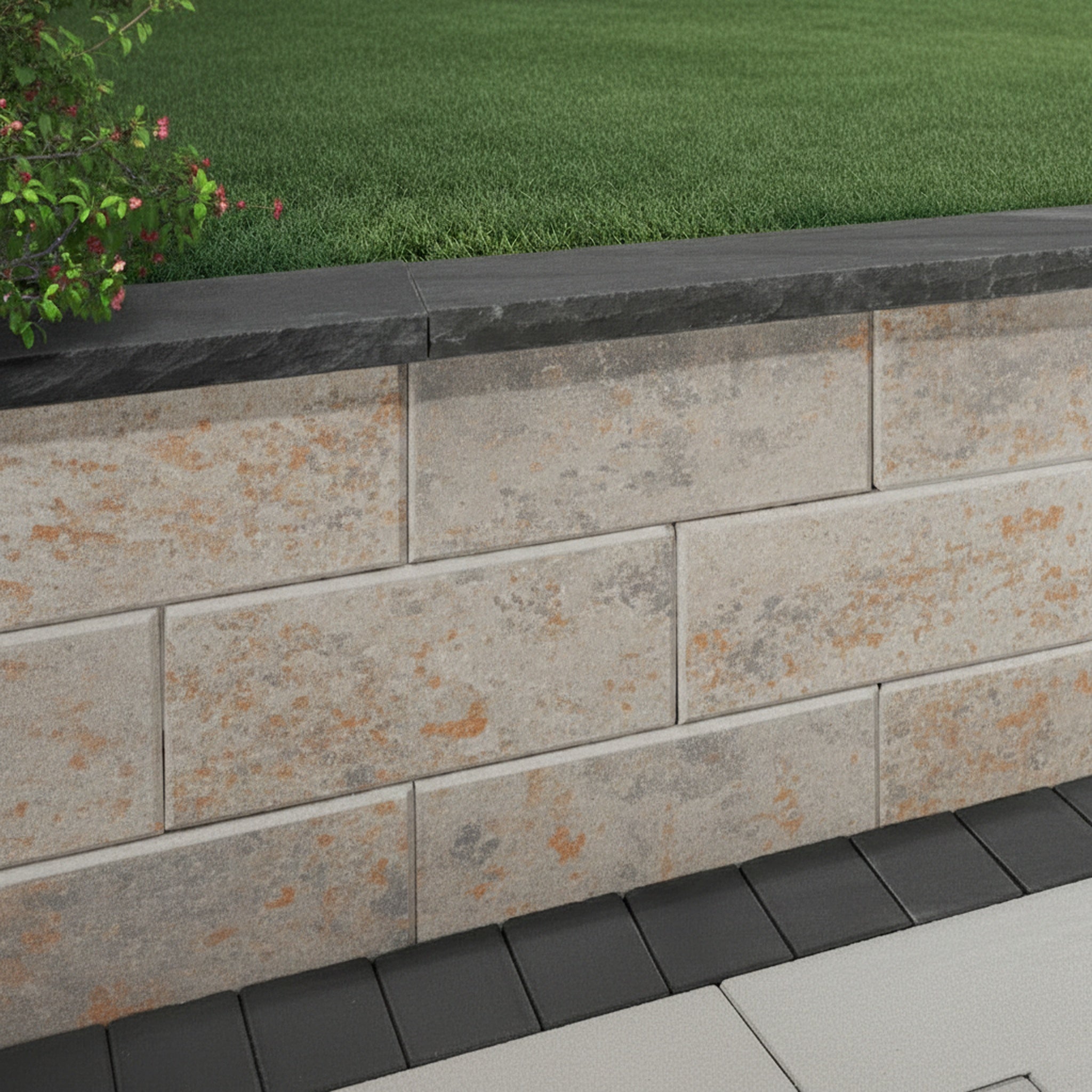 Sigma Plus 8" Smooth Wall (C) - Hero