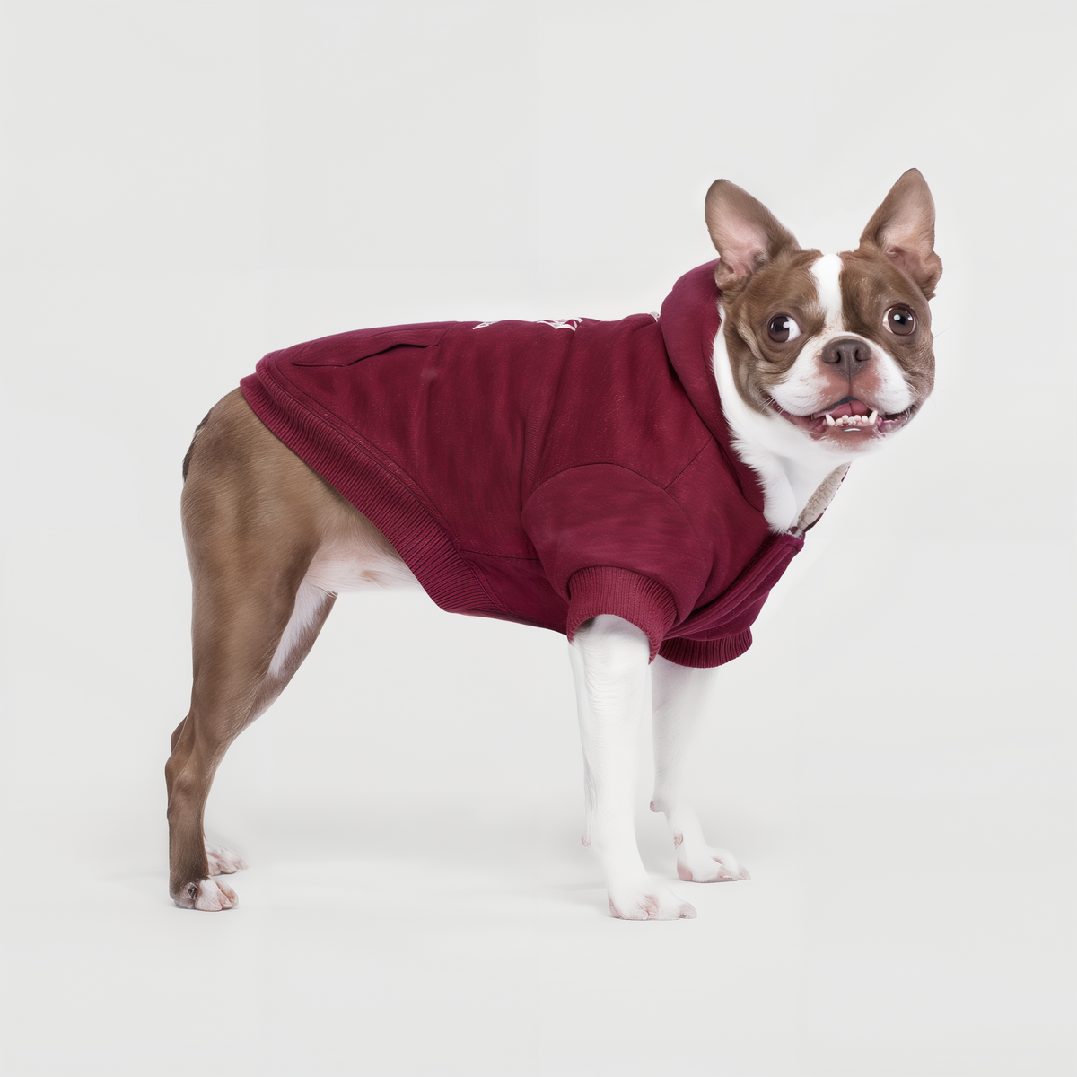 Canada Pooch Cozy Caribou Hoodie Maroon -- lifestyle
