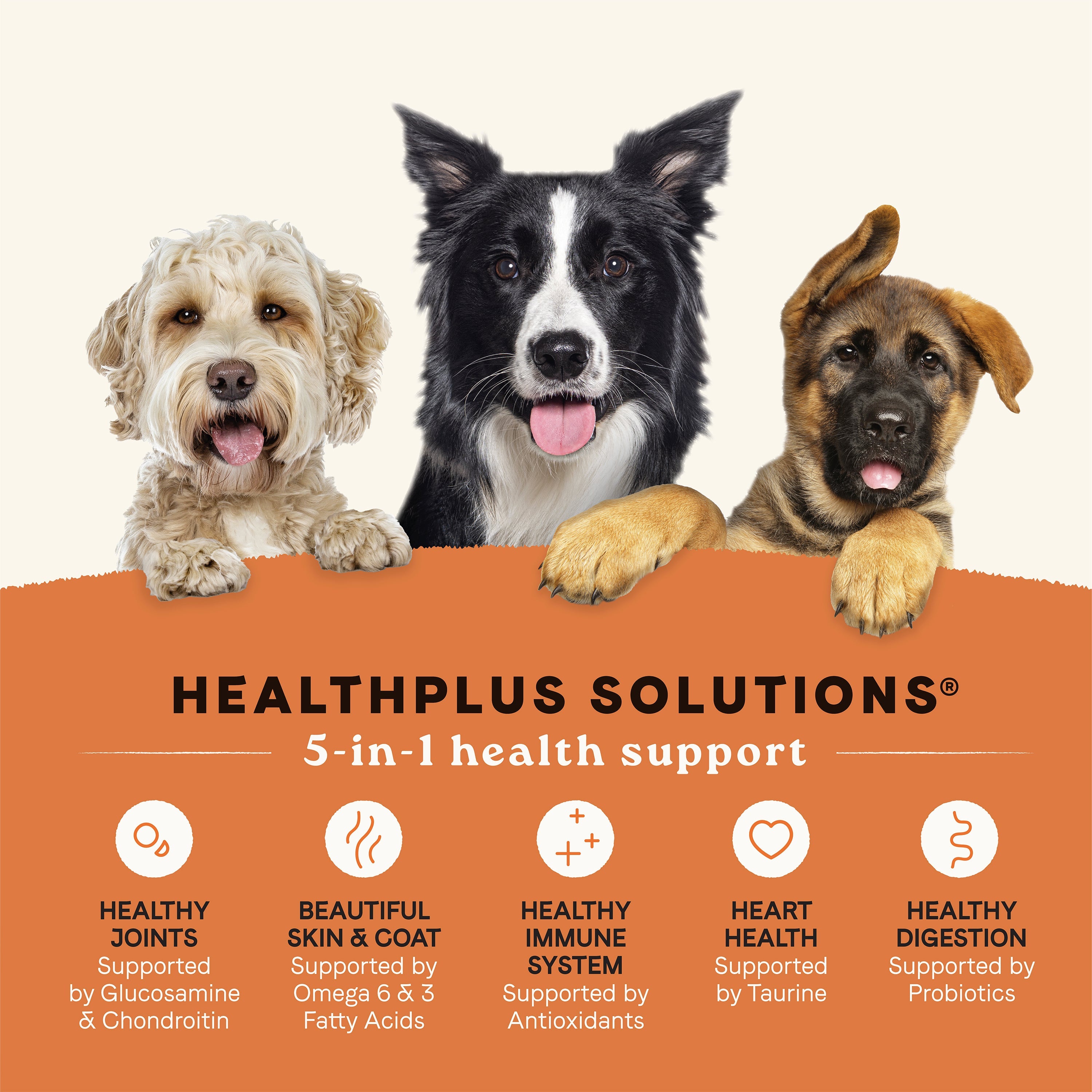Canidae All Life Stages Multi-Protein with HealthPlus Solutions for 5-in-1 support: joints, skin and coat, immune, heart and digestion