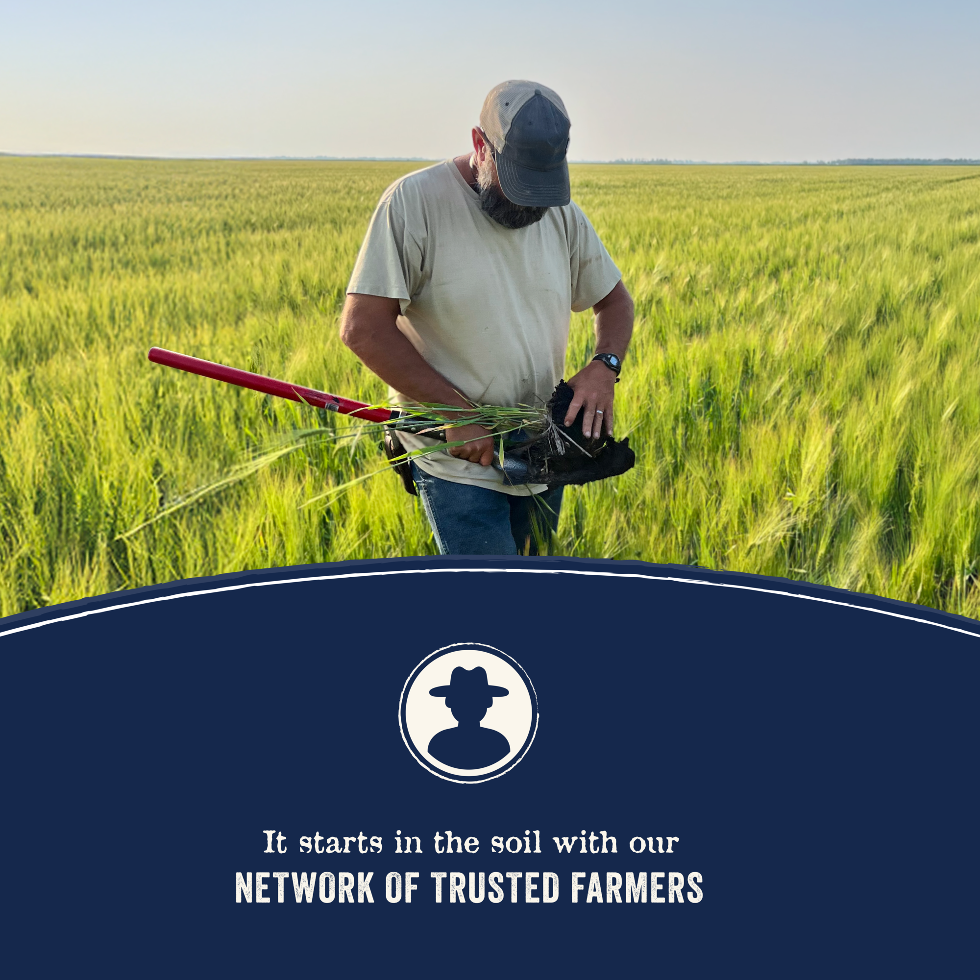 It starts in the soil with our network of trusted farmers