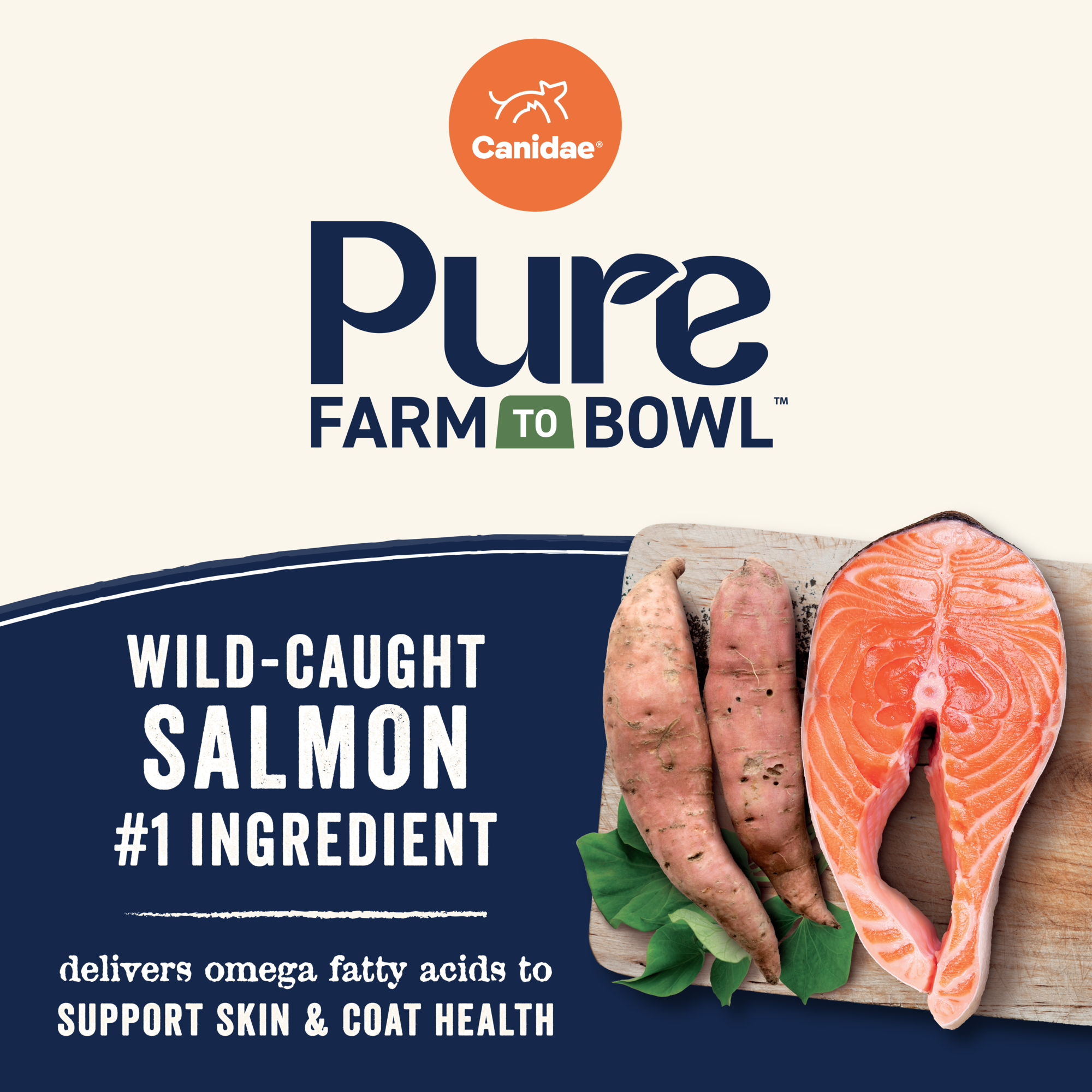Wild-caught salmon delivers omega fatty acids to support skin and coat health