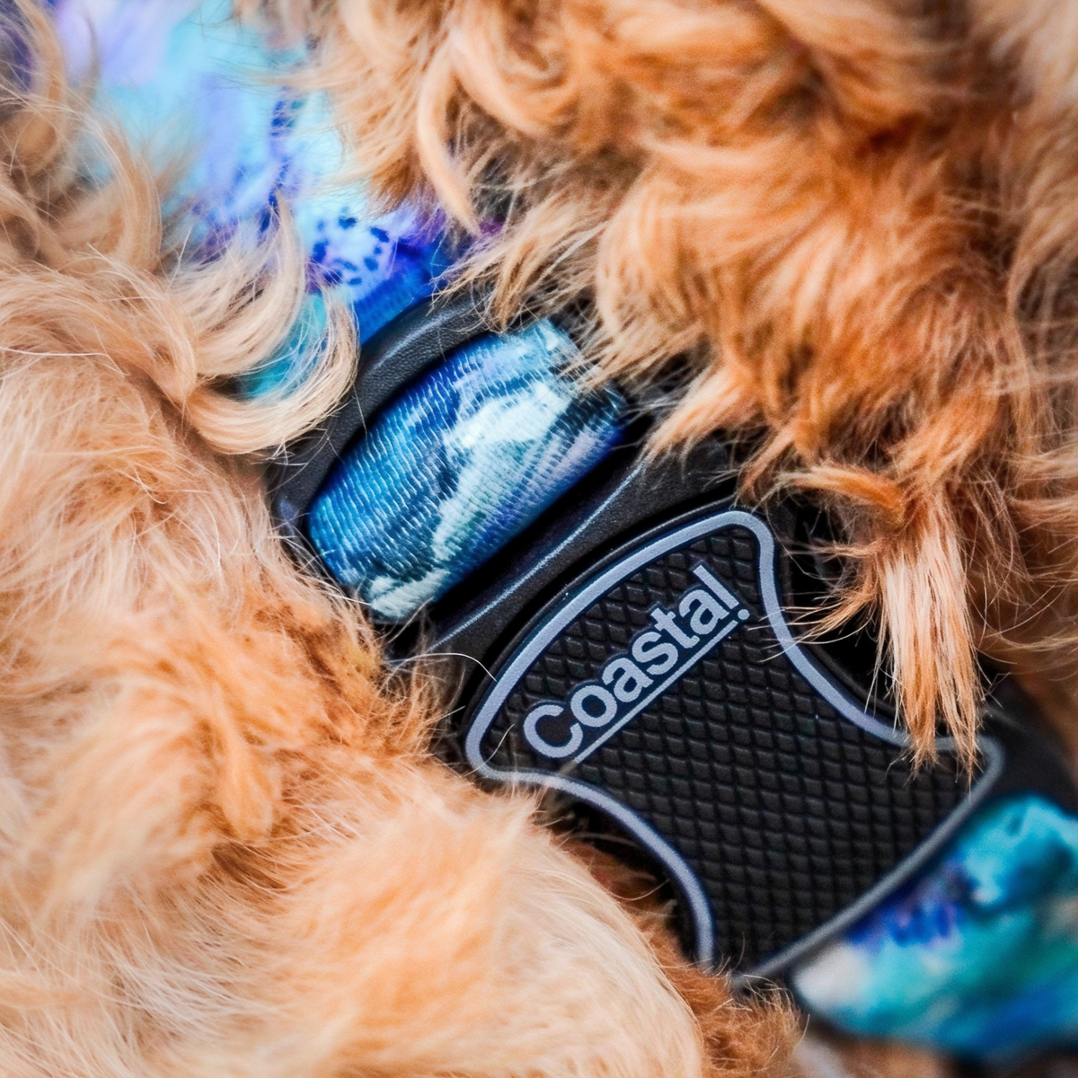 Coastal Pet Inspire Adjustable Fashion Dog Collar Rainy Day Floral Extra Small -- detail