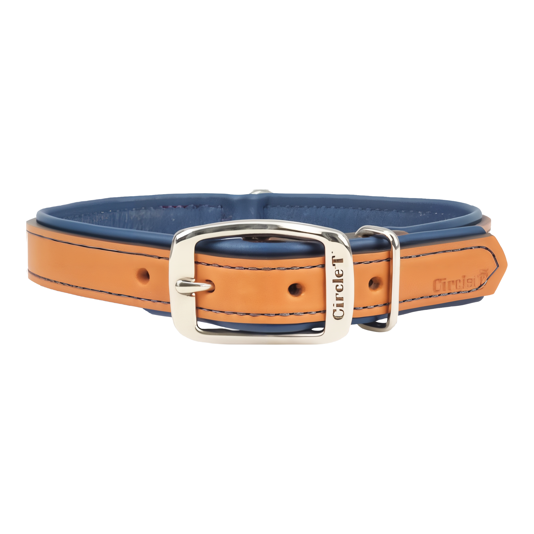 Coastal Pet Circle T Leather Dog Collar in Brown and Blue, 14 inches