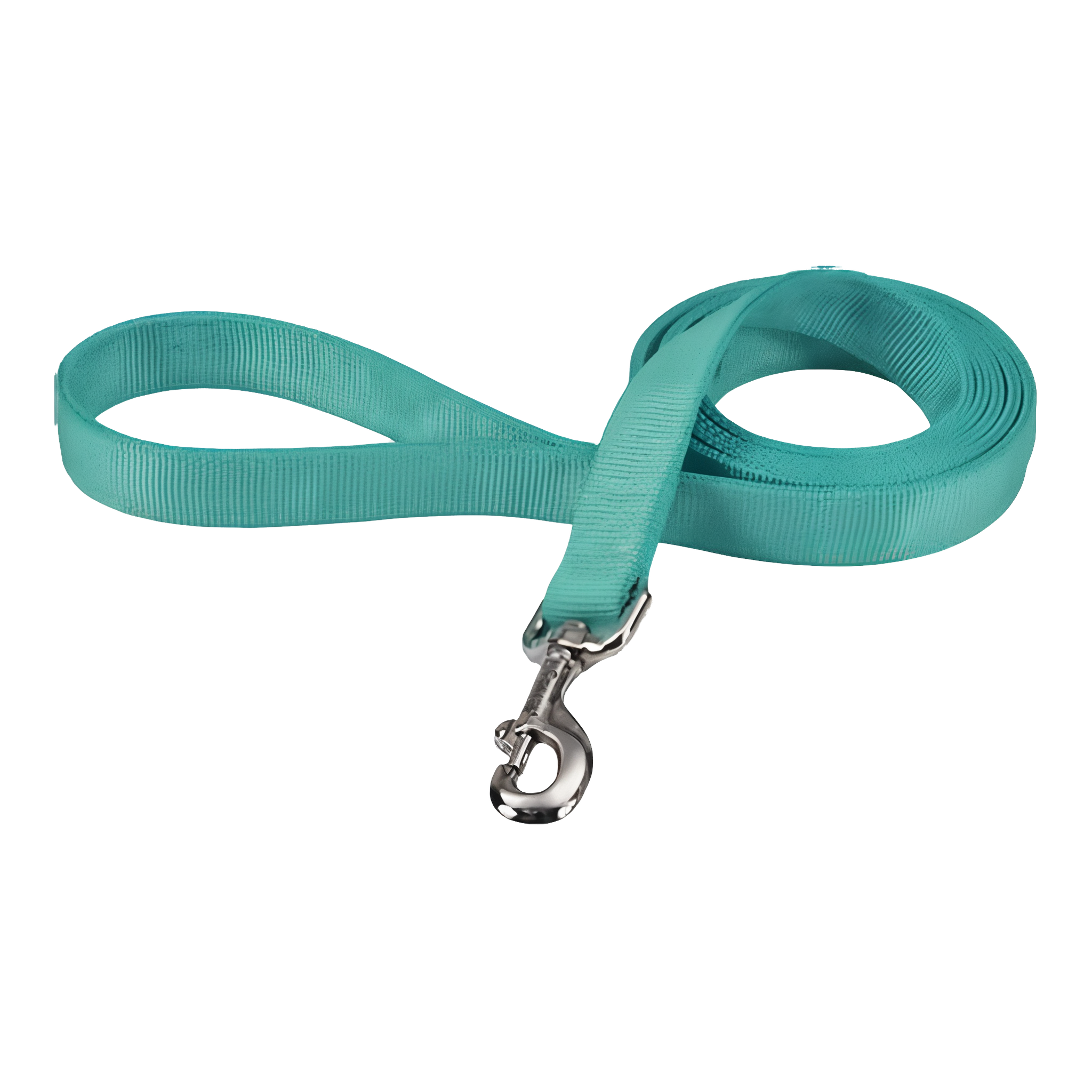 Coastal Pet Double-Ply Nylon Dog Lead
