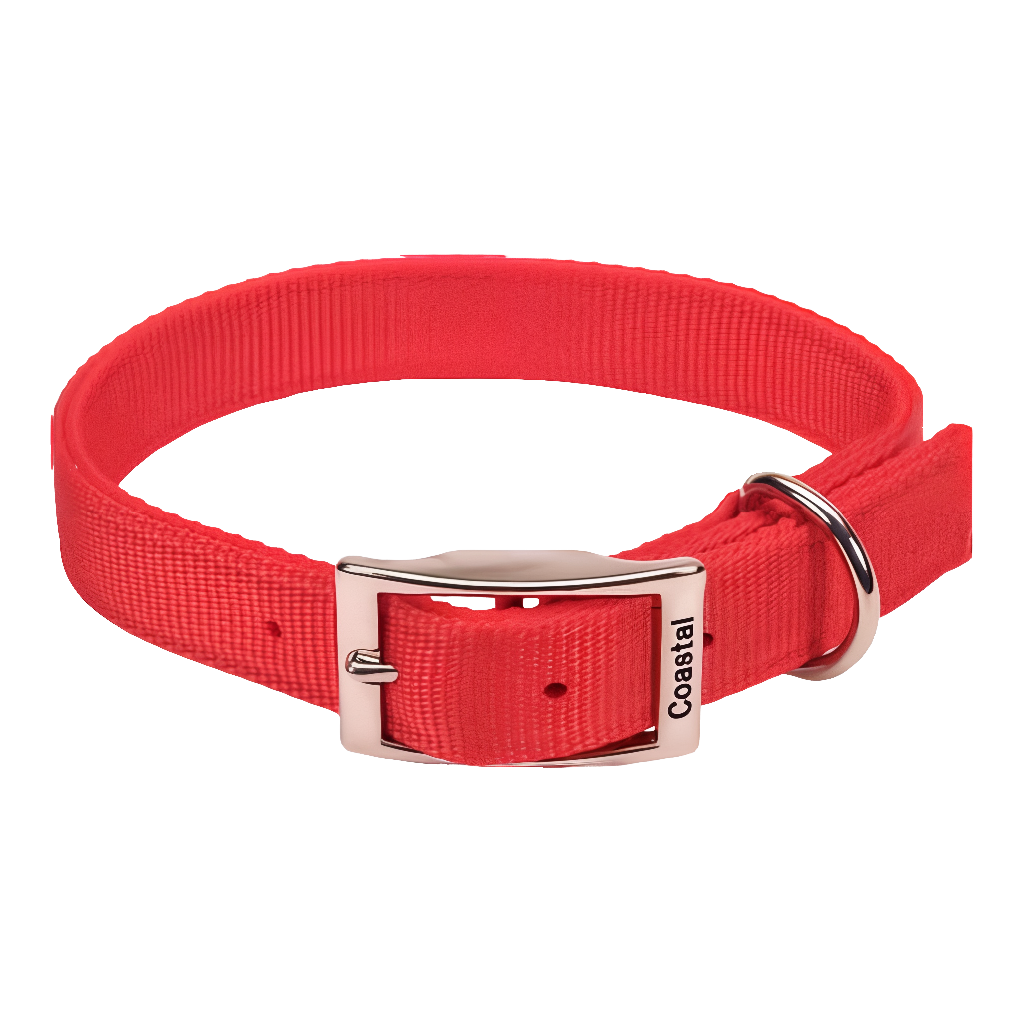 Coastal Pet Products Nylon Double Dog Collar and Double Ply Dog Leash