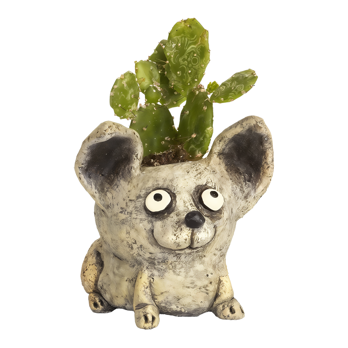 Cohasset Gifts & Gardens Chico Dog Planter -- product image