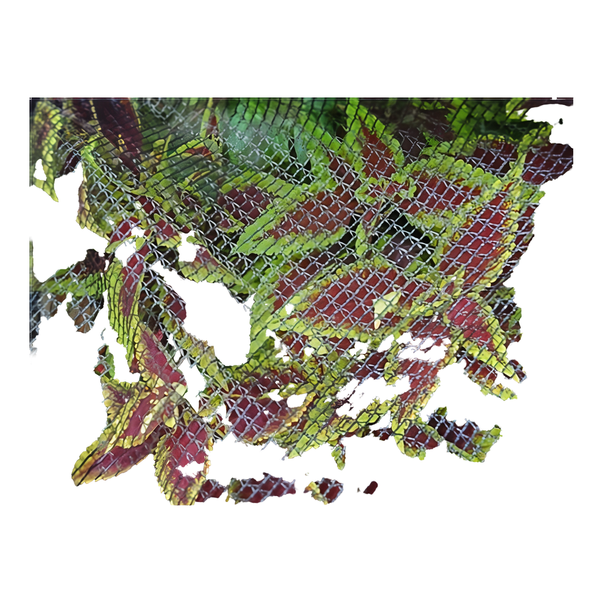 Dewitt Bird & Pond Netting