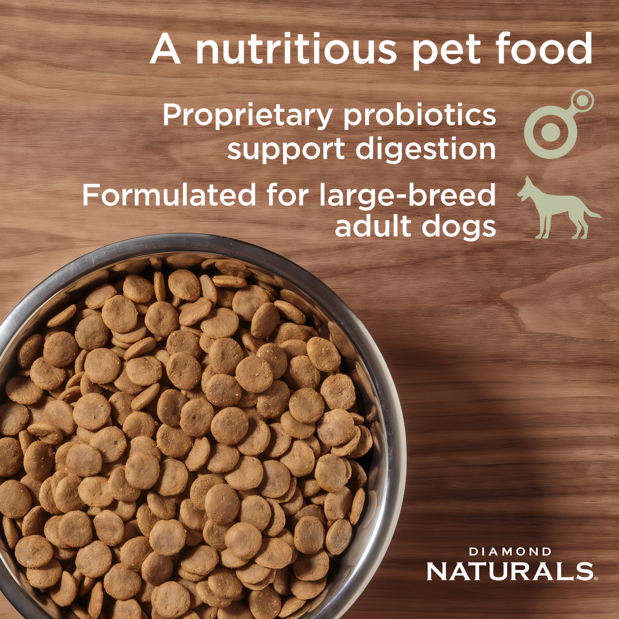 A bowl of Diamond Naturals Large Breed kibble — proprietary probiotics, formulated for large-breed adult dogs