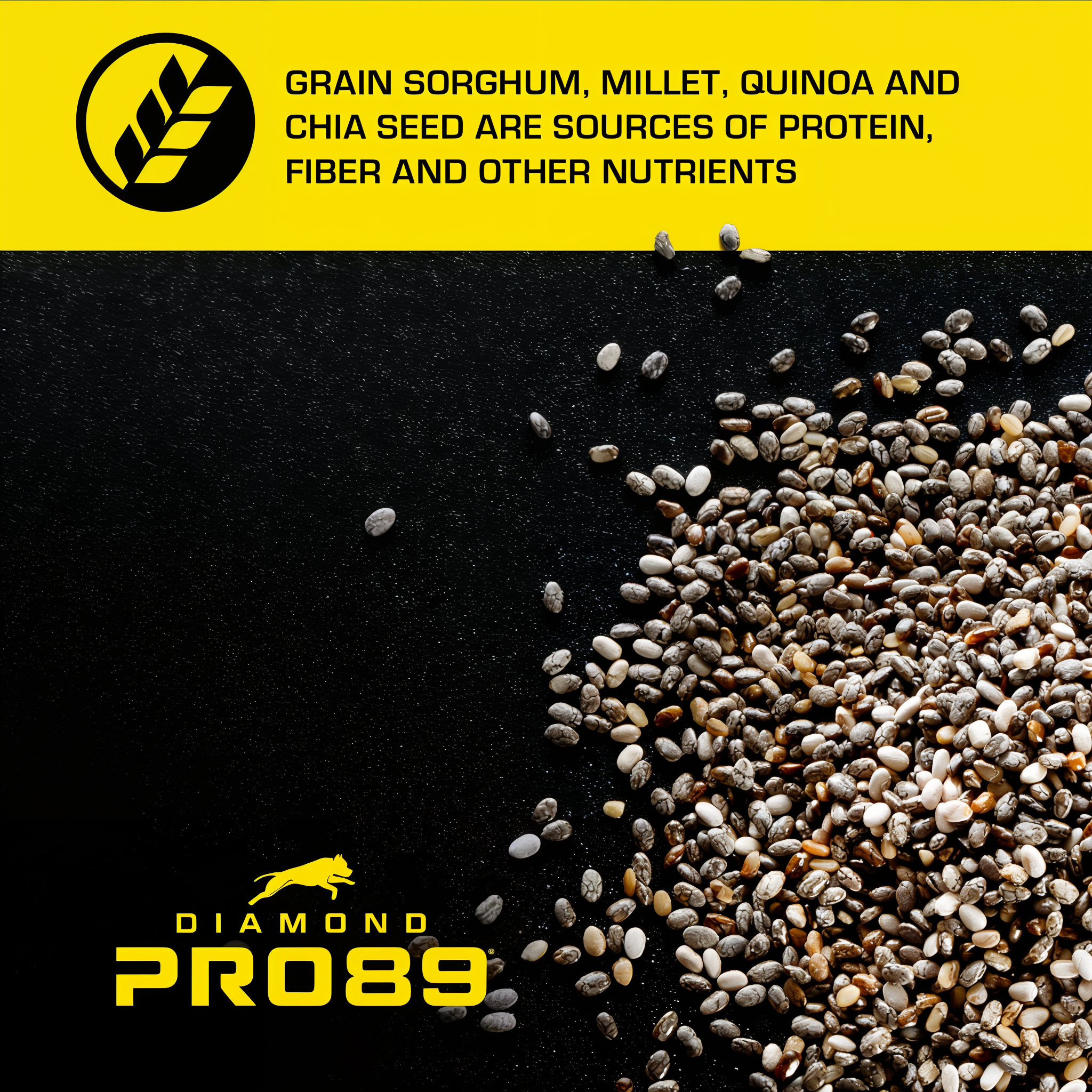 Grain sorghum, millet, quinoa and chia seed are sources of protein, fiber and other nutrients