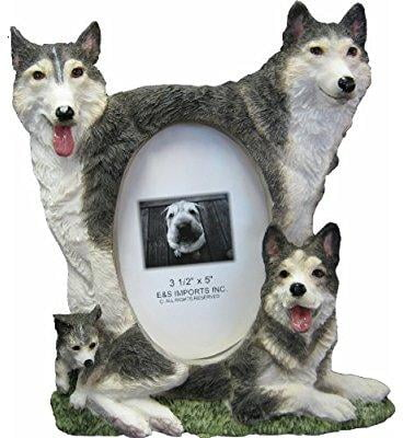 E & S Imports Border Collie Serengeti Tumbler