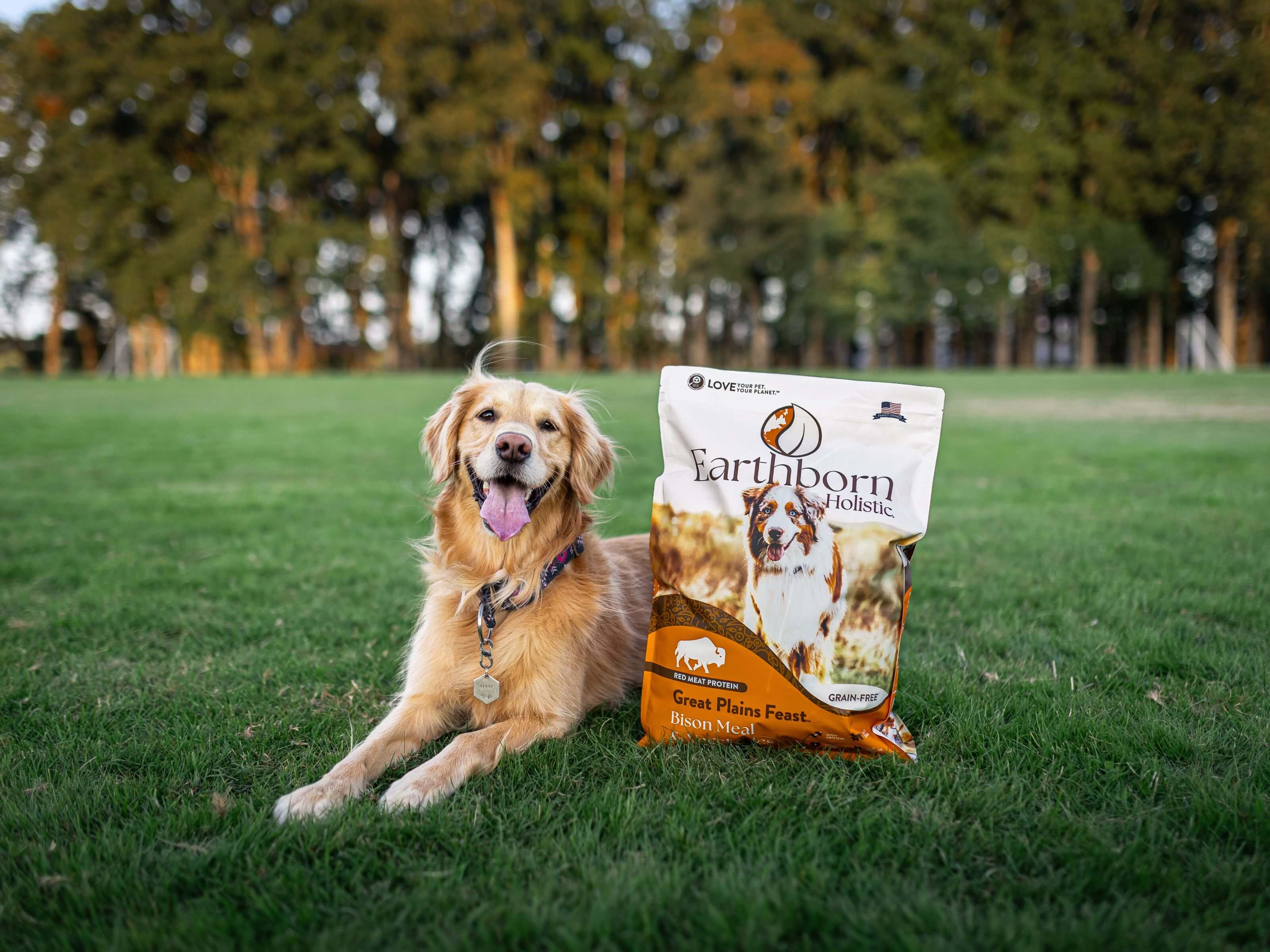 Golden Retriever lying in the grass beside a bag of Earthborn Holistic Great Plains Feast